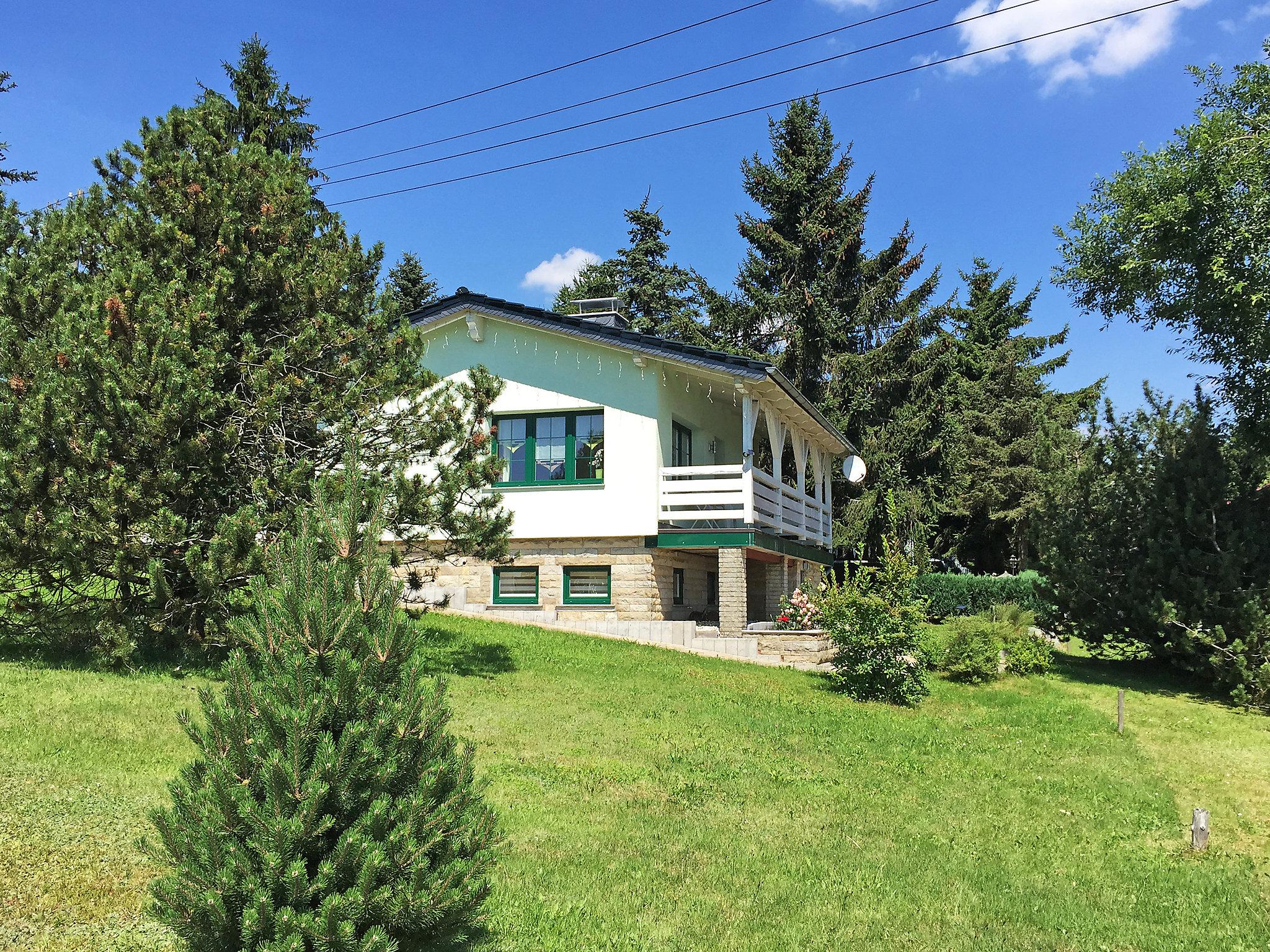 Photo 10 - Maison de 1 chambre à Masserberg avec terrasse et sauna