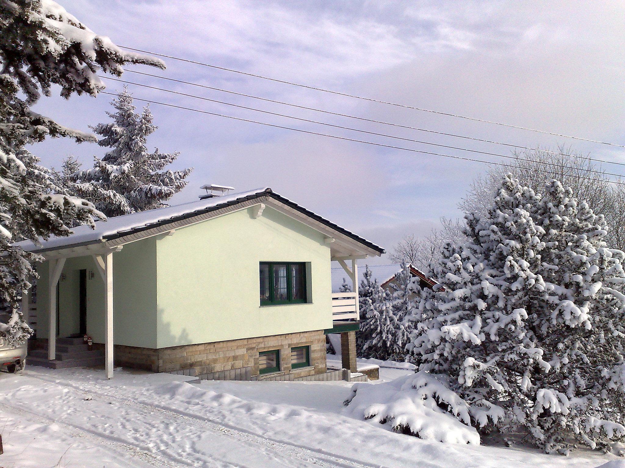 Foto 15 - Casa de 1 habitación en Masserberg con terraza y sauna