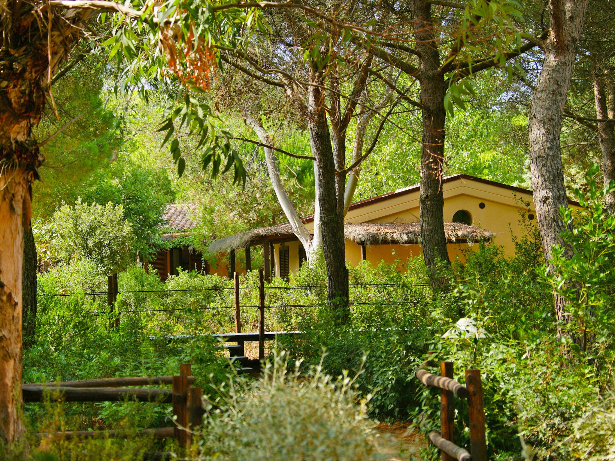 Foto 2 - Casa con 1 camera da letto a Castiglione della Pescaia con piscina e giardino