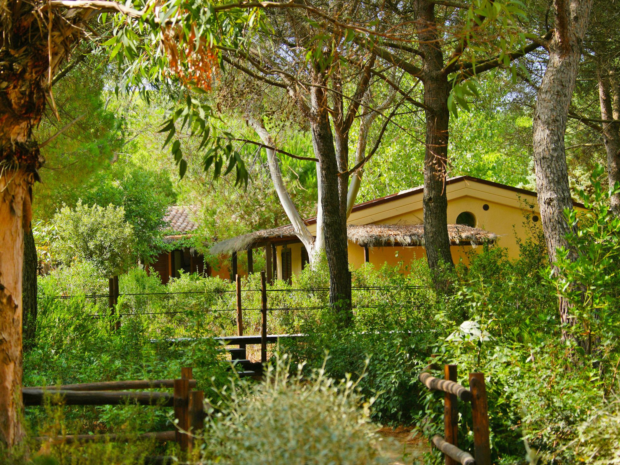 Foto 2 - Haus mit 1 Schlafzimmer in Castiglione della Pescaia mit privater pool und blick aufs meer