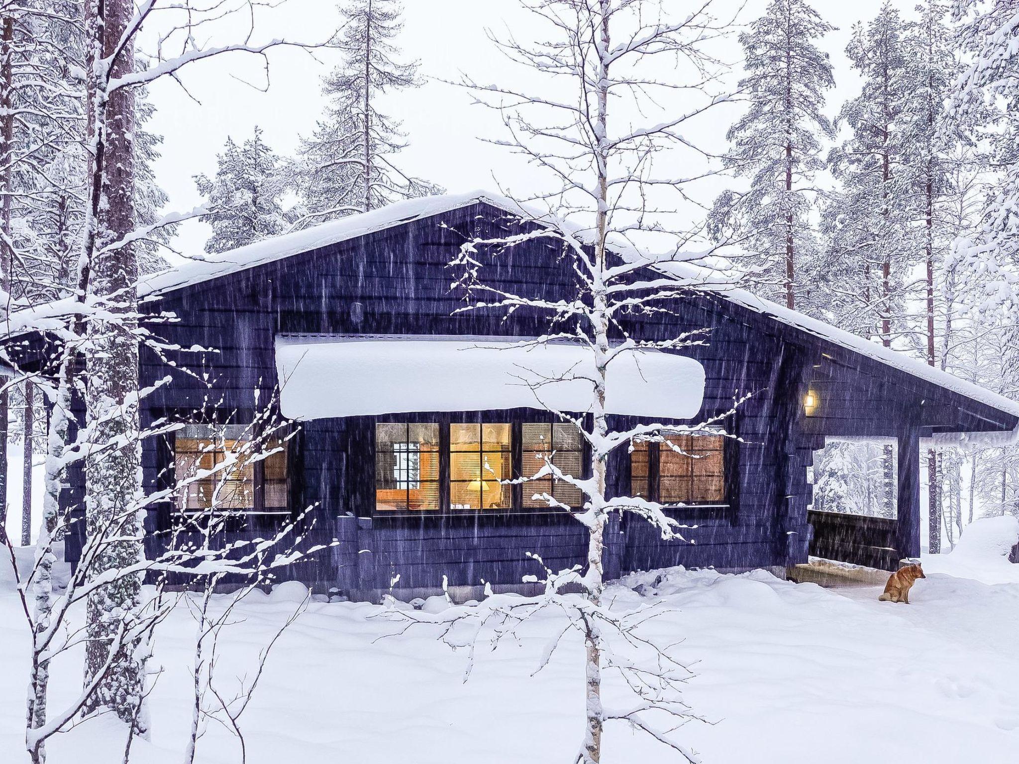 Foto 30 - Casa de 3 habitaciones en Rovaniemi con sauna