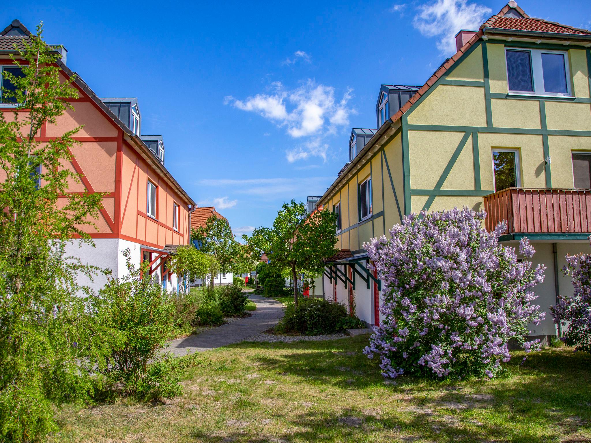 Photo 11 - 2 bedroom Apartment in Göhren-Lebbin with swimming pool and terrace