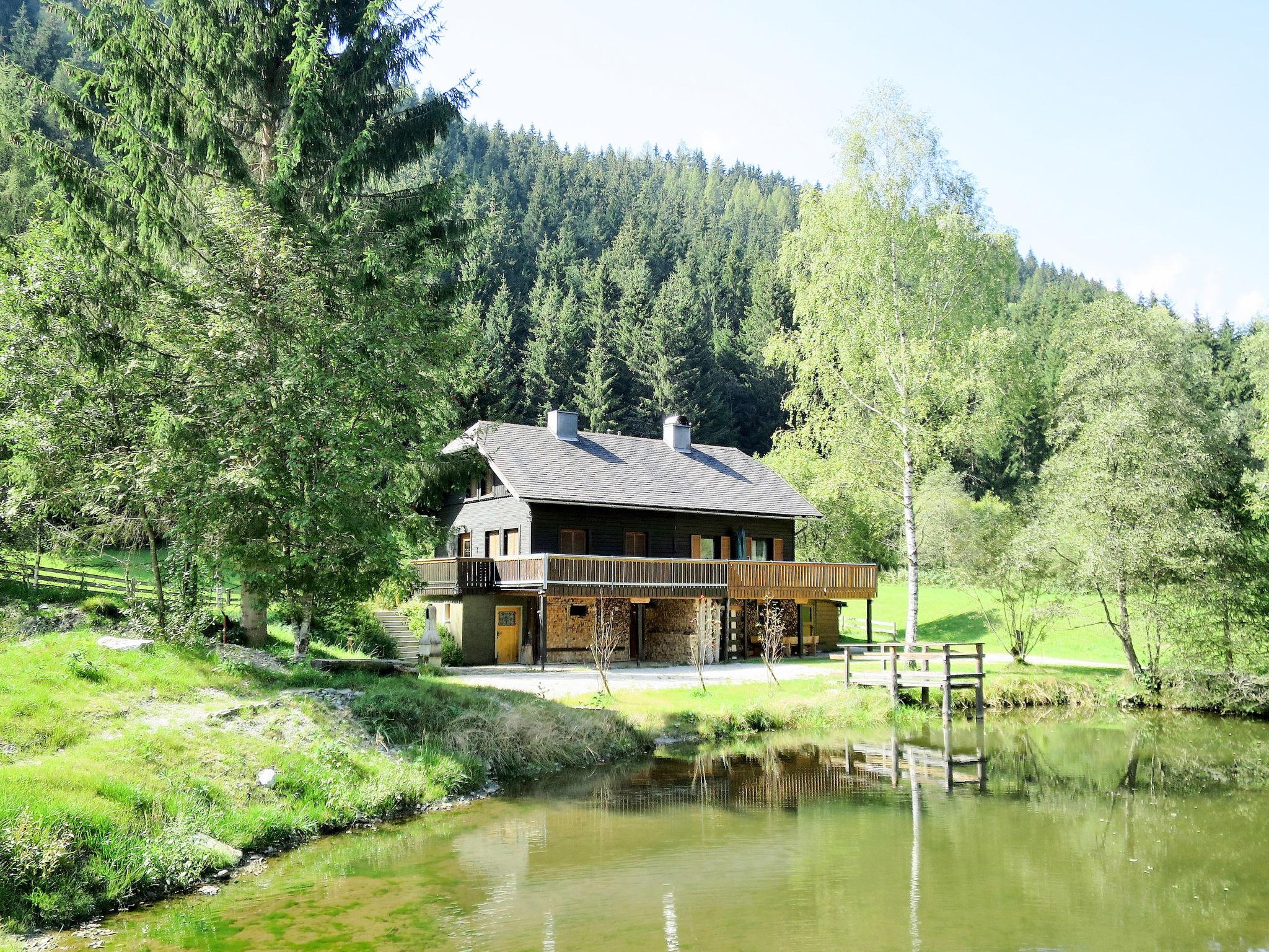 Foto 6 - Casa de 3 habitaciones en Sölk con jardín y vistas a la montaña