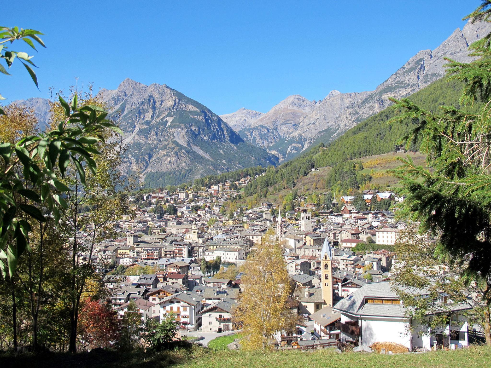 Photo 40 - 2 bedroom Apartment in Valdisotto with mountain view