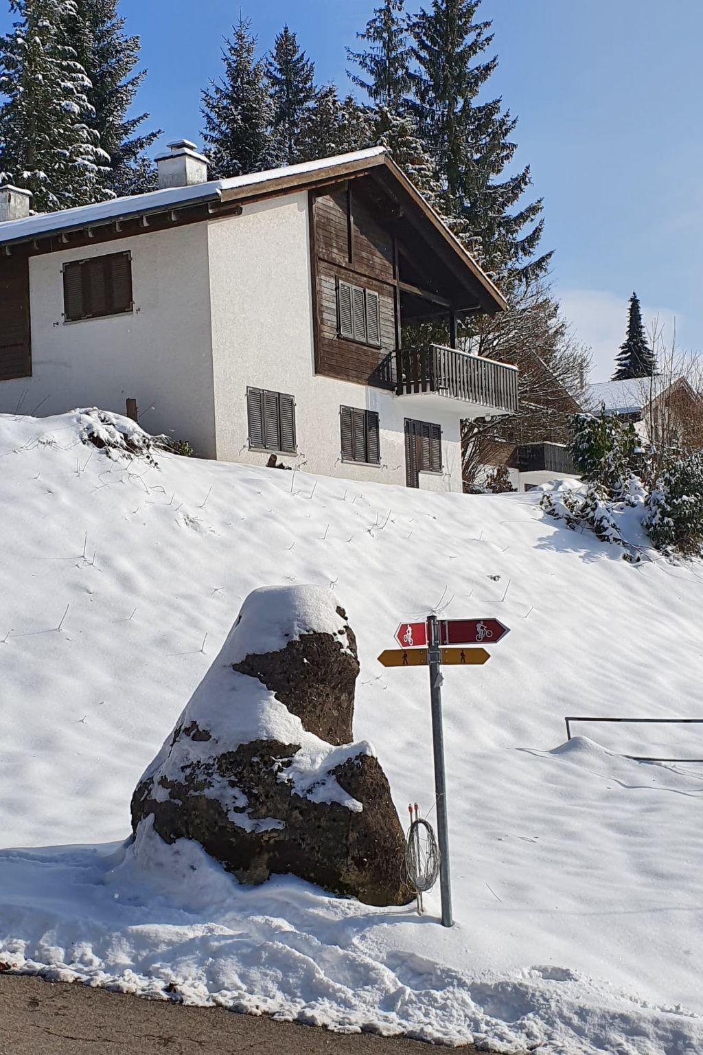 Photo 18 - Maison de 4 chambres à Gommiswald avec jardin