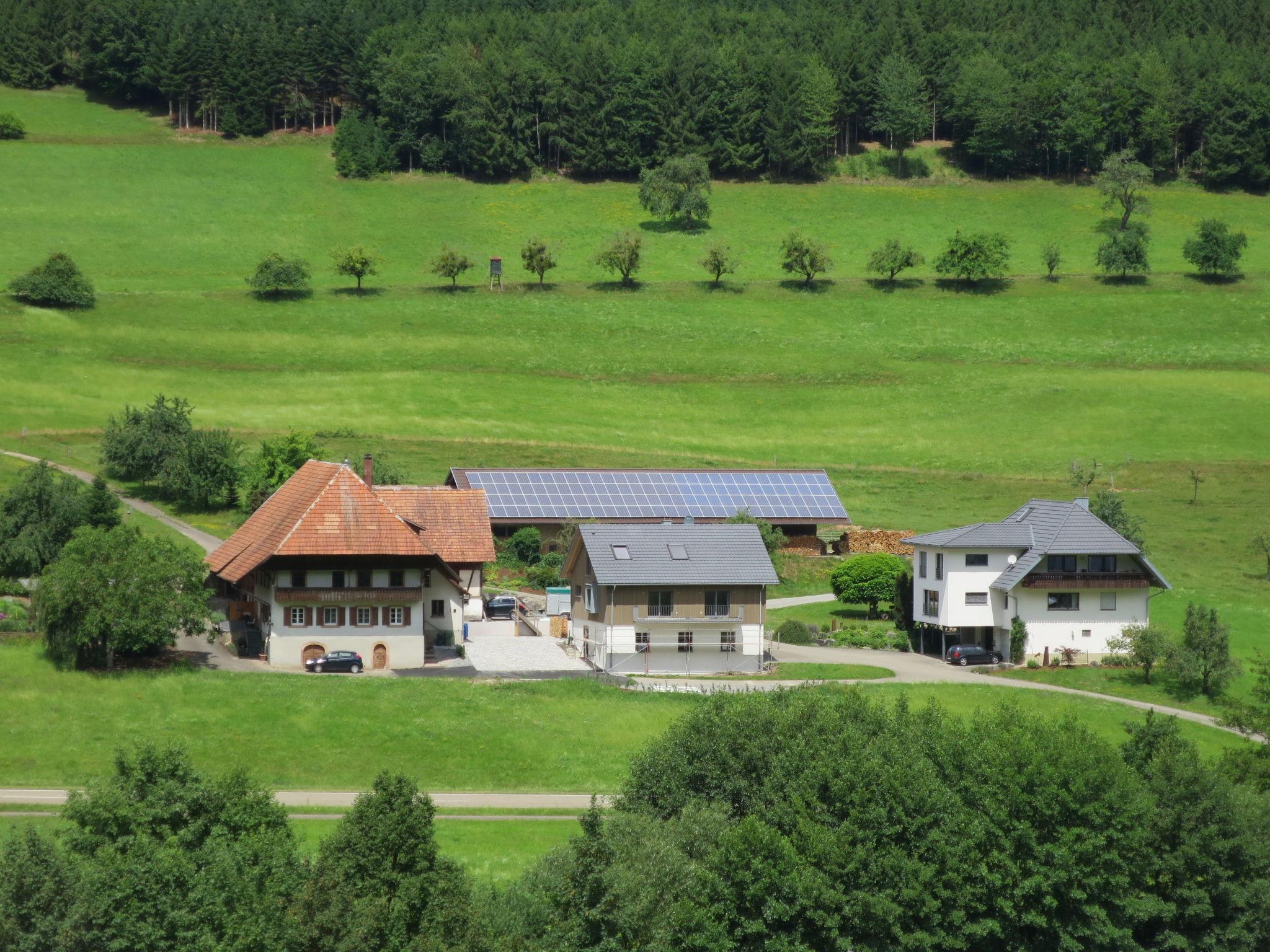 Photo 31 - Appartement de 1 chambre à Hofstetten avec jardin et vues sur la montagne