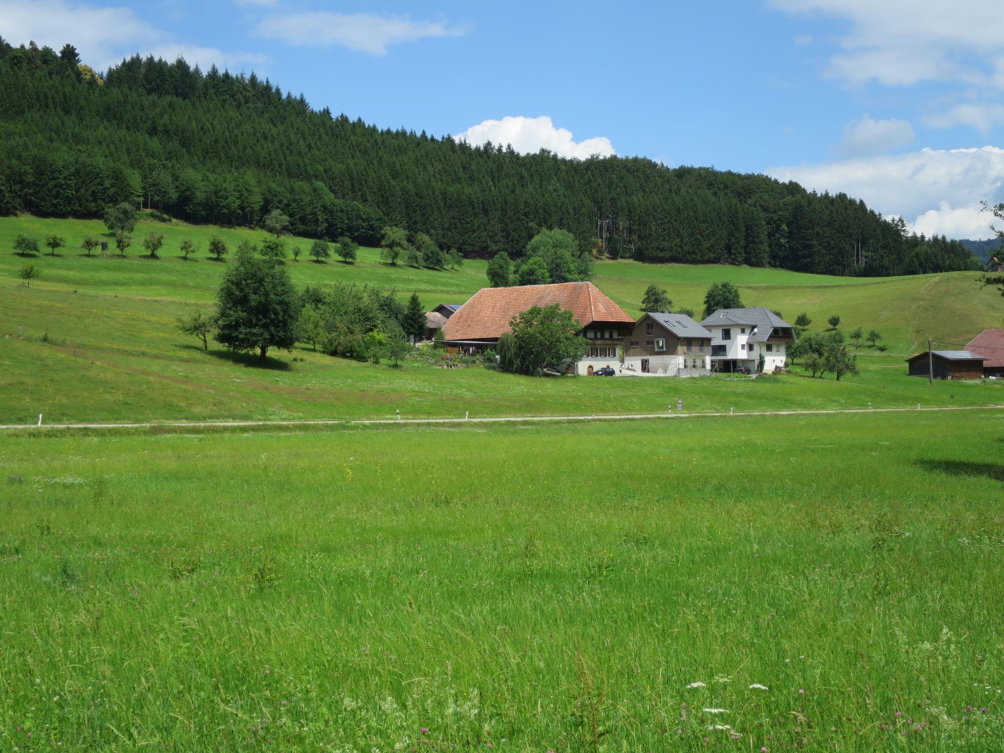 Photo 28 - Appartement de 2 chambres à Hofstetten avec jardin et vues sur la montagne