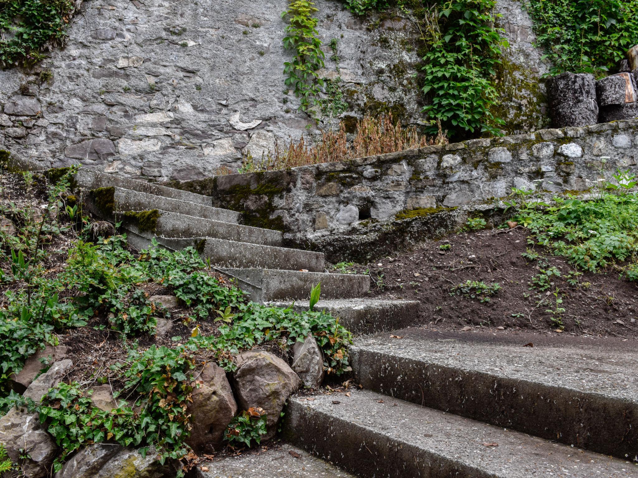 Foto 35 - Casa de 4 quartos em Montreux com jardim e vista para a montanha