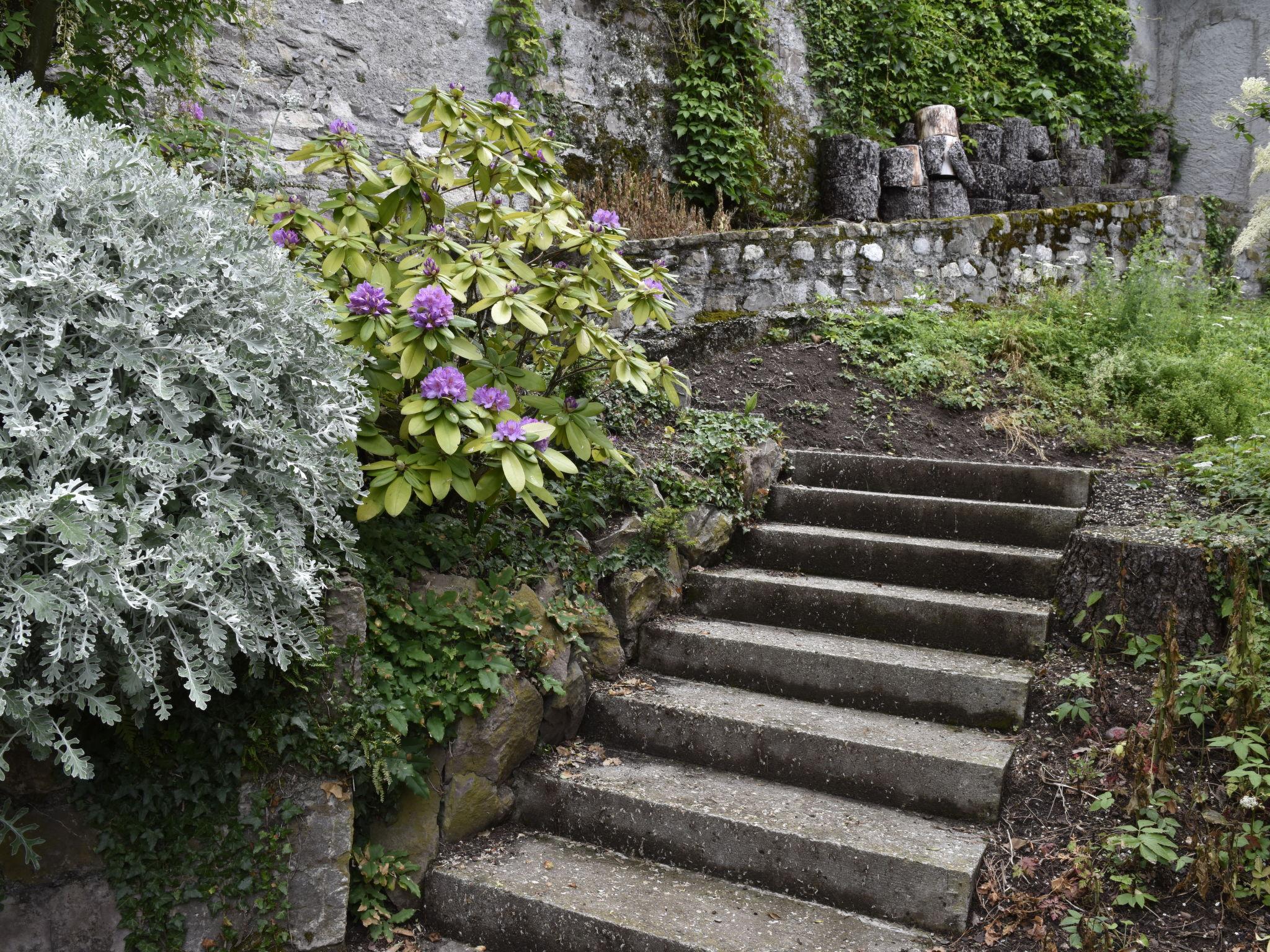 Foto 34 - Casa de 4 quartos em Montreux com jardim e vista para a montanha