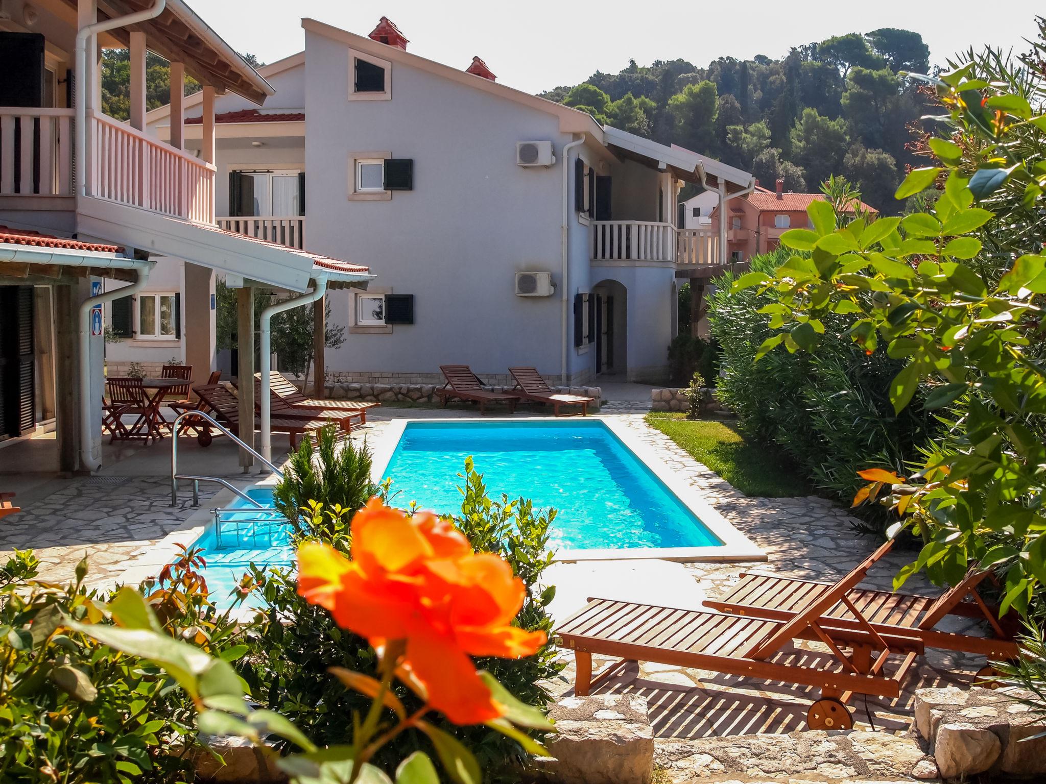 Photo 11 - Appartement de 1 chambre à Rab avec piscine et jardin