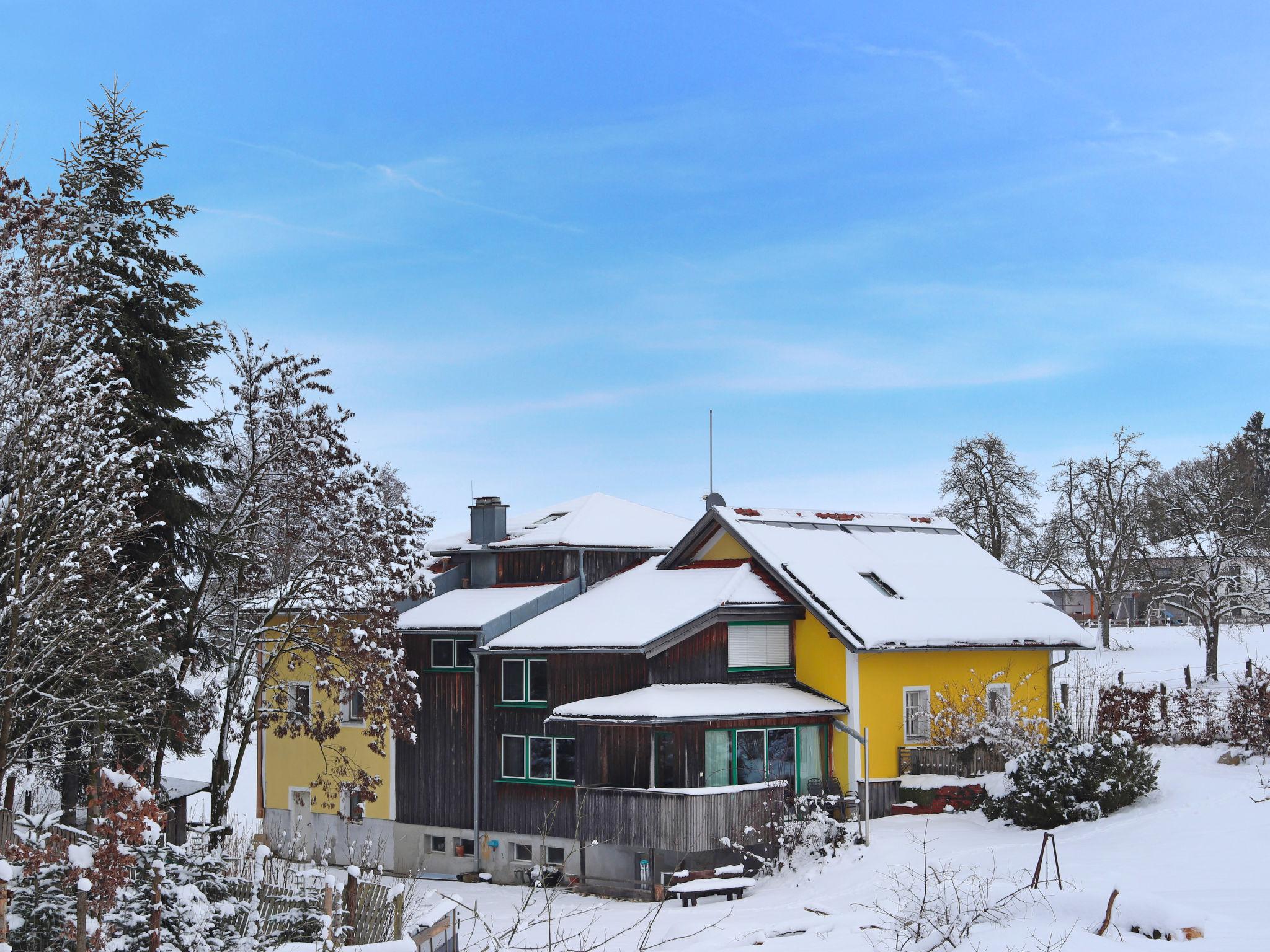 Foto 19 - Haus mit 1 Schlafzimmer in Geinberg mit garten und terrasse