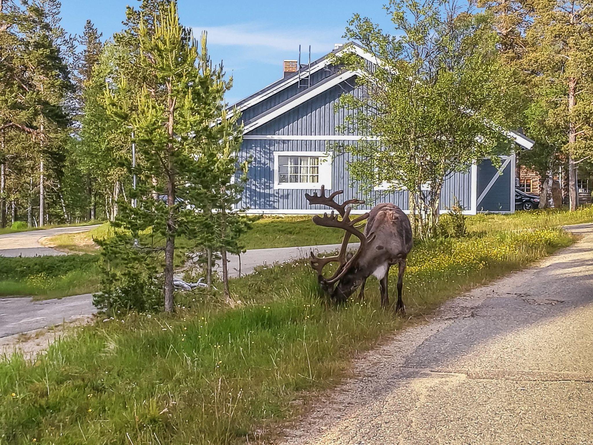 Foto 3 - Haus mit 1 Schlafzimmer in Inari mit sauna und blick auf die berge