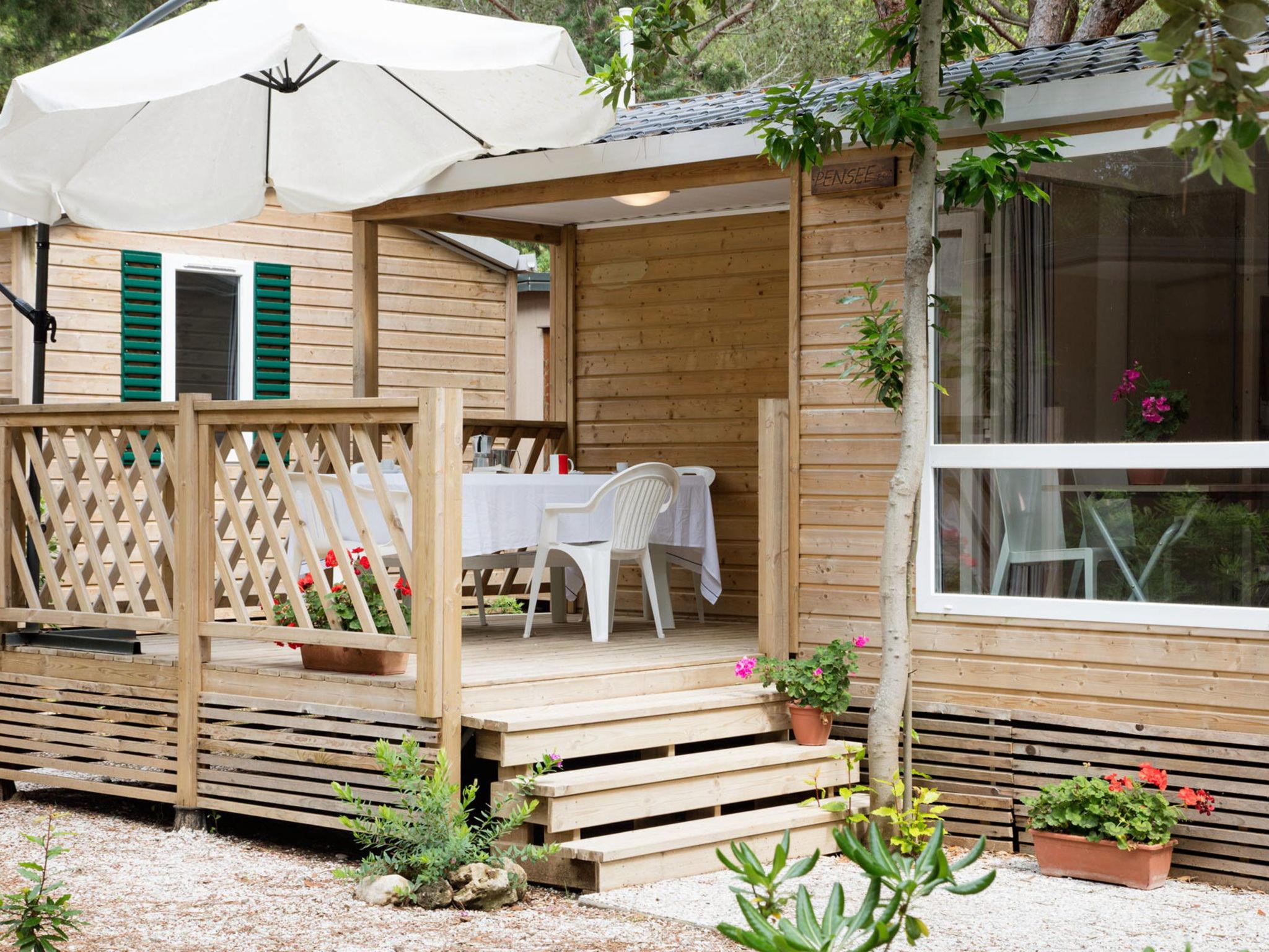 Photo 4 - Maison de 2 chambres à Bibbona avec piscine et vues à la mer