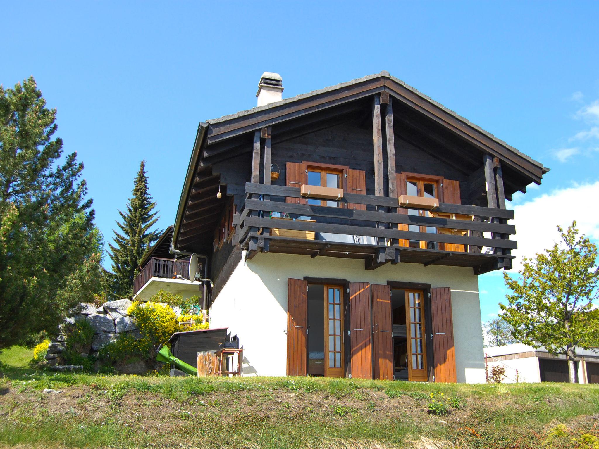 Photo 25 - 2 bedroom House in Nendaz with garden and mountain view