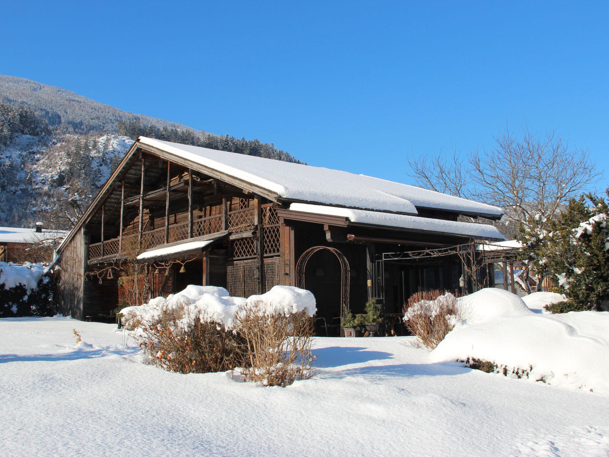 Photo 38 - Appartement de 2 chambres à Aschau im Zillertal avec jardin