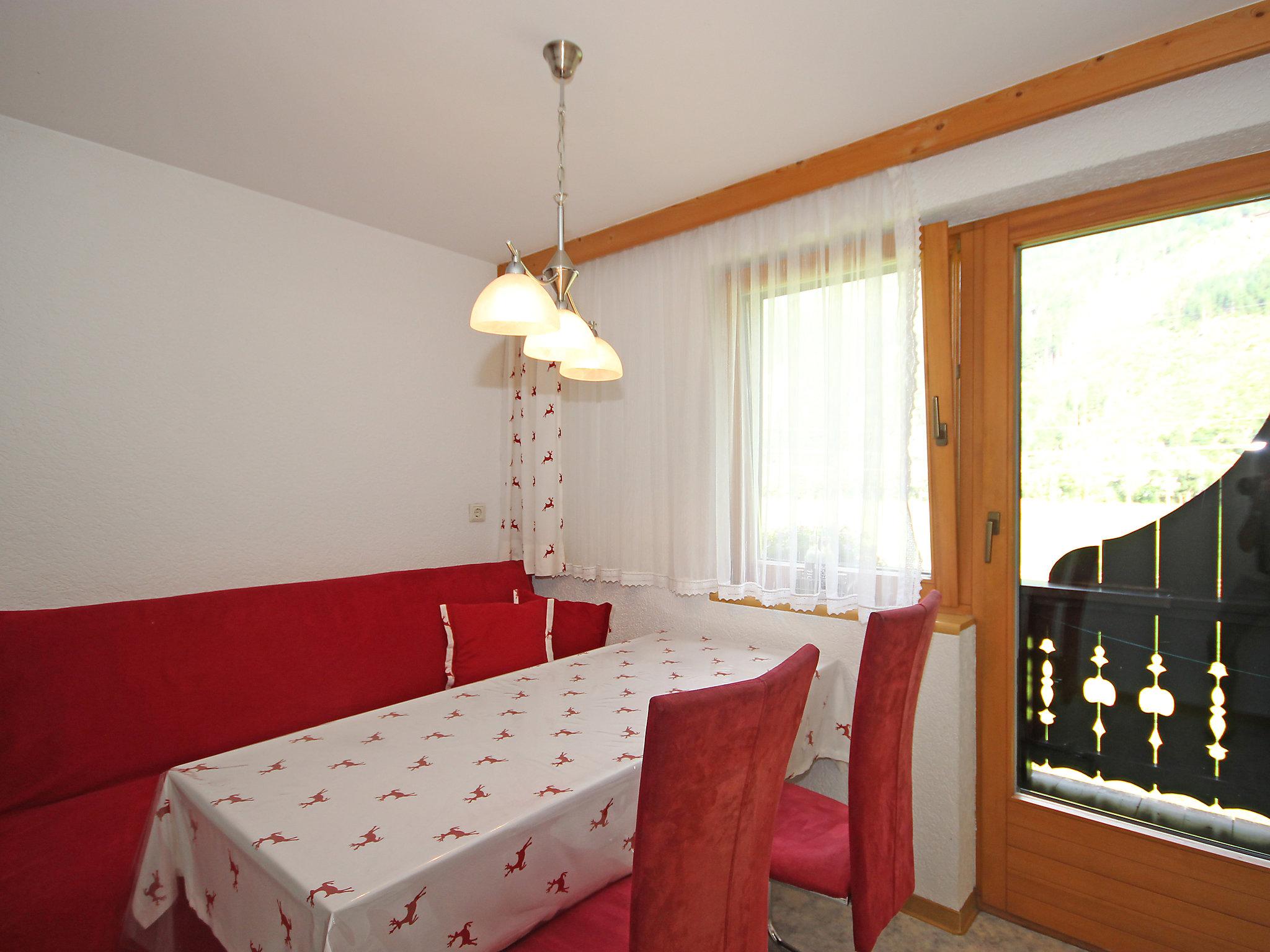 Foto 14 - Appartamento con 2 camere da letto a Aschau im Zillertal con giardino e vista sulle montagne