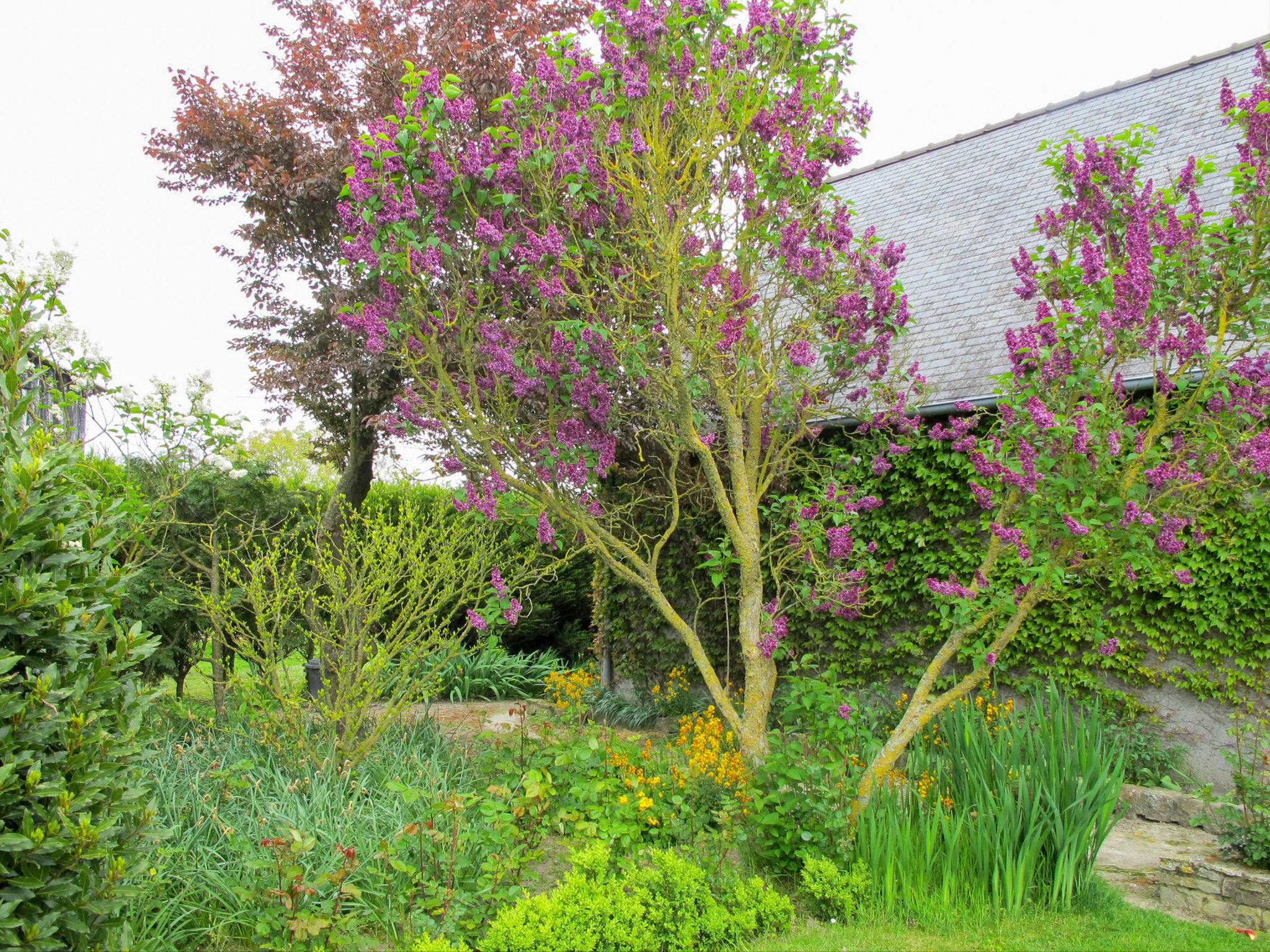 Photo 16 - Maison de 3 chambres à Vains avec jardin et vues à la mer