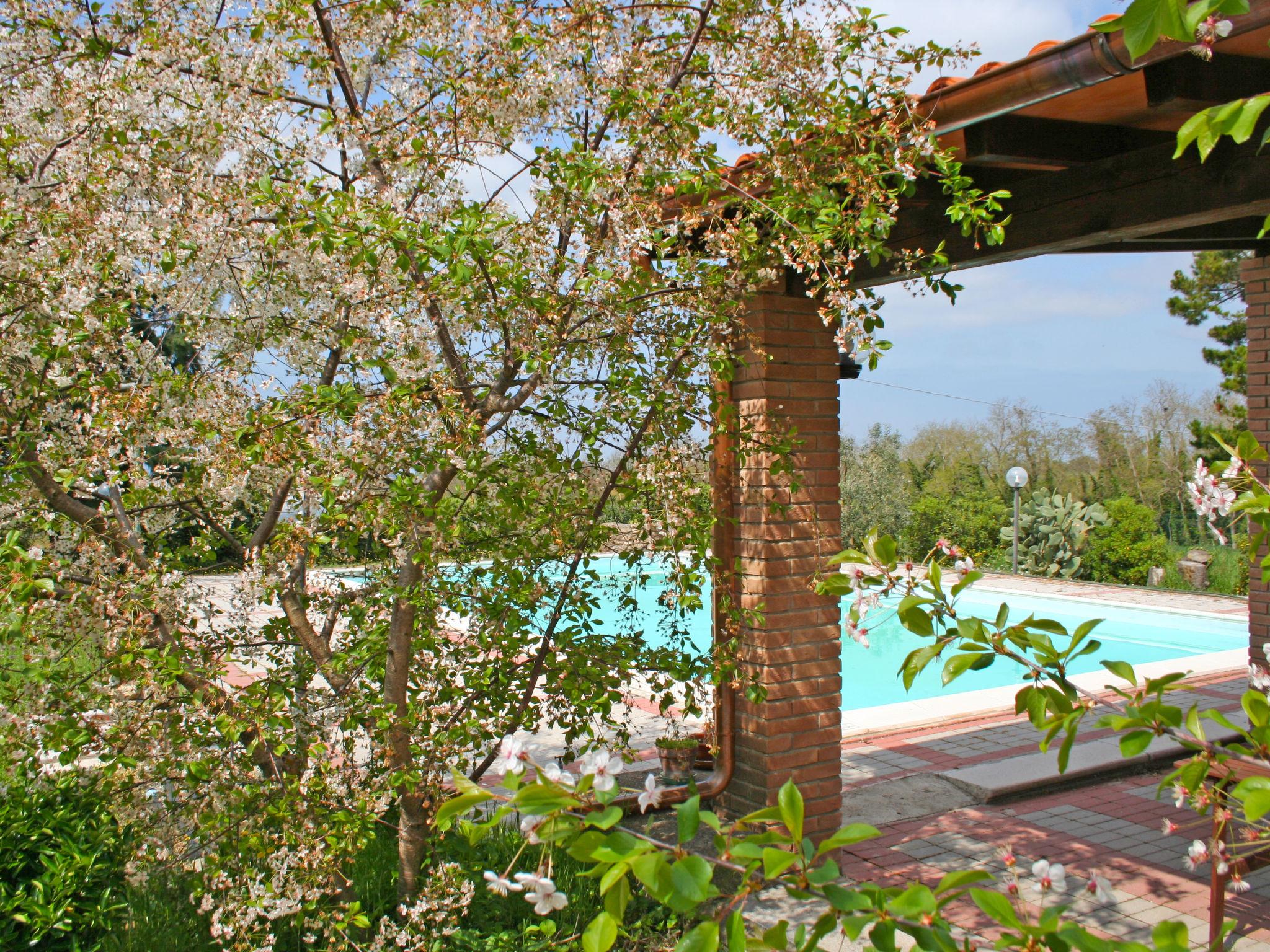 Photo 18 - Maison de 1 chambre à Bibbona avec piscine et jardin