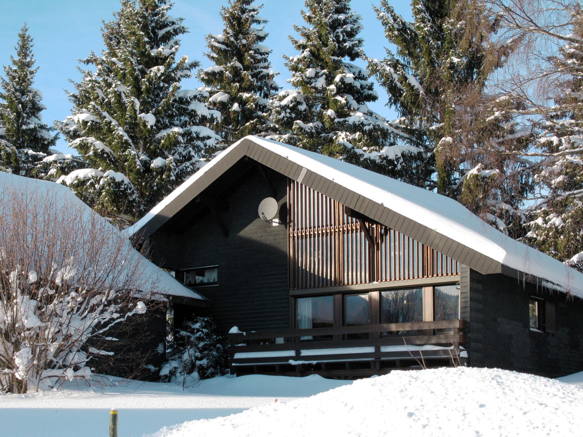 Foto 54 - Casa de 3 habitaciones en Bernau im Schwarzwald con jardín