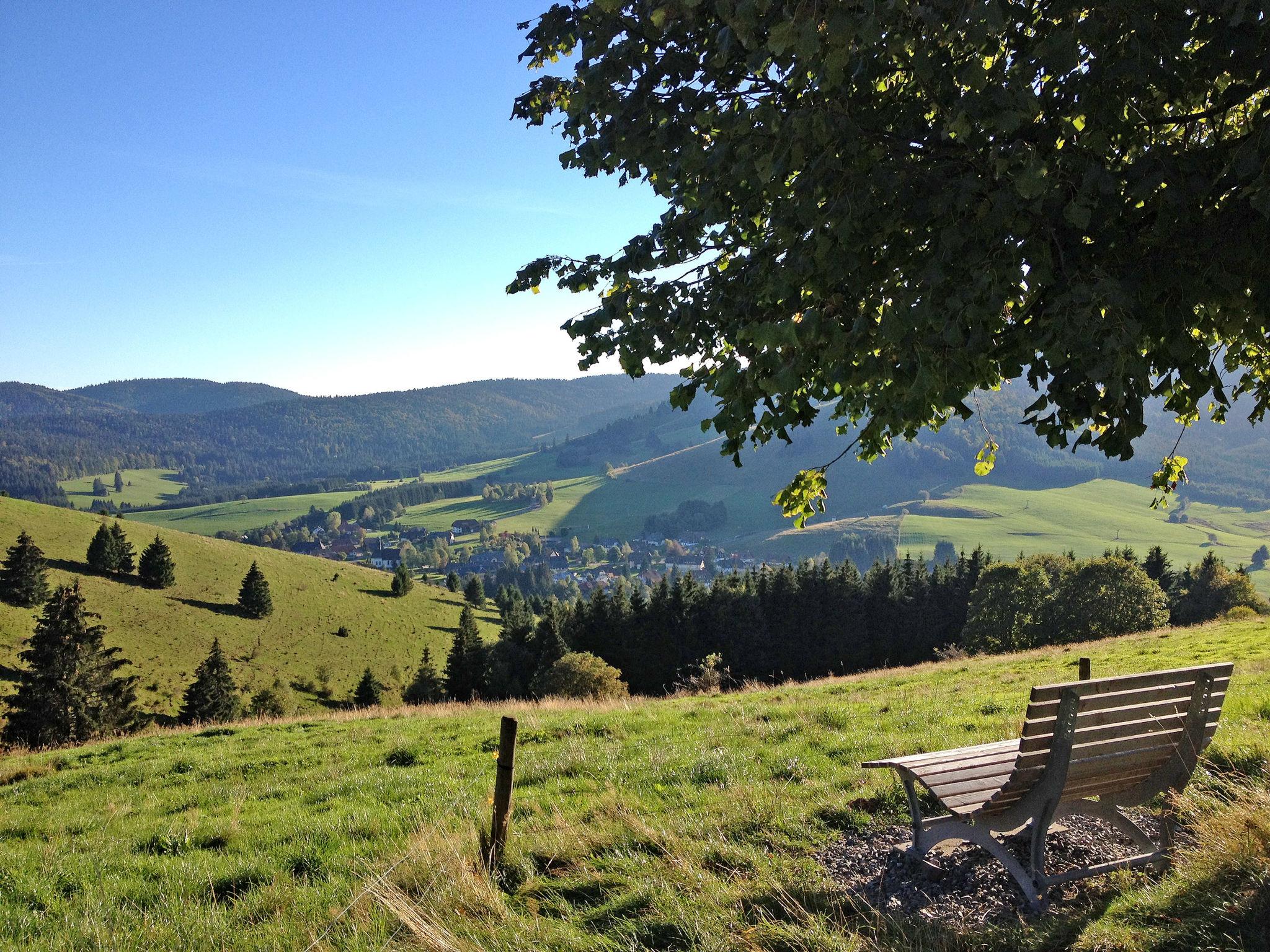 Photo 32 - Appartement de 2 chambres à Bernau im Schwarzwald avec terrasse et vues sur la montagne