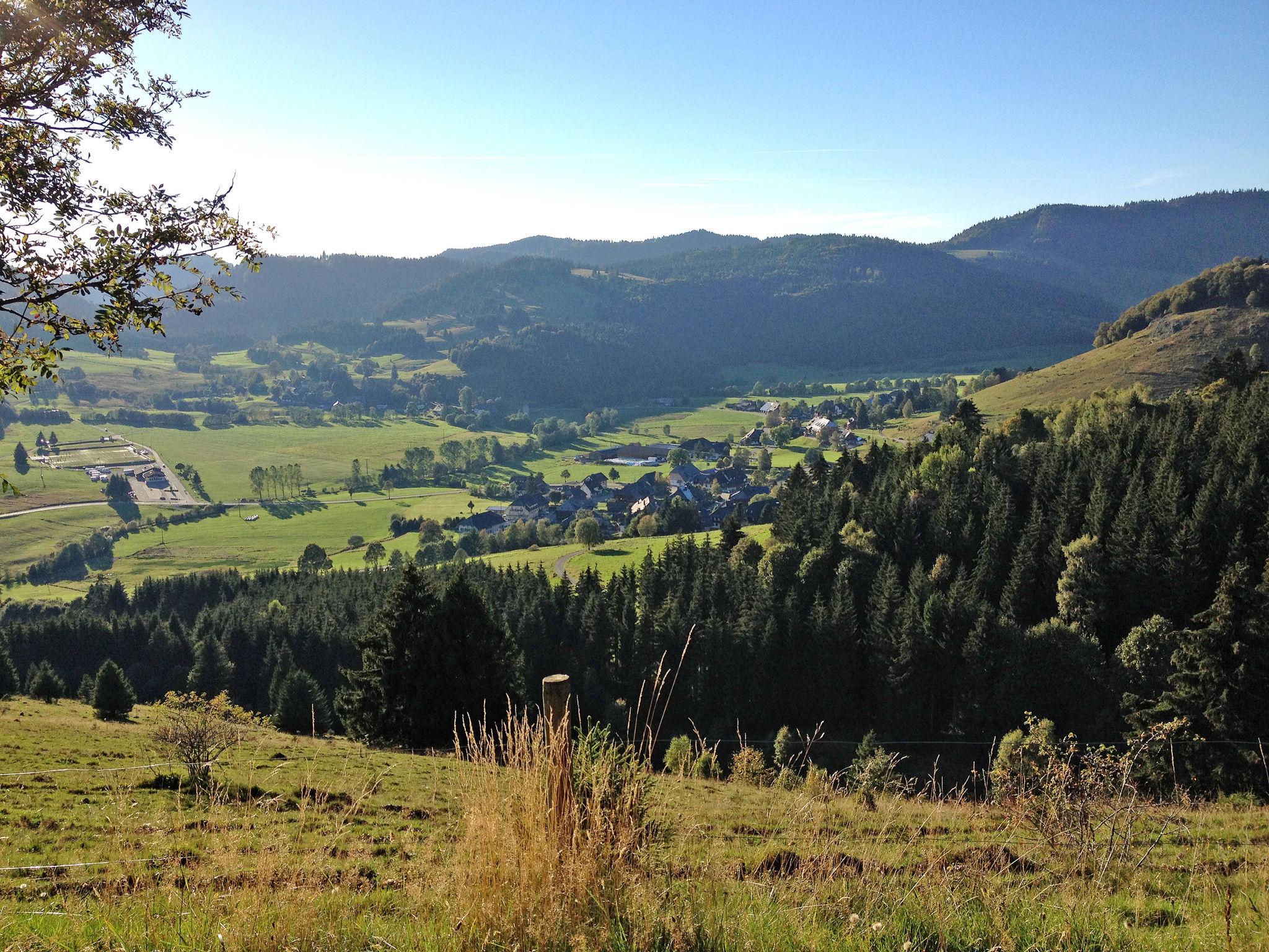 Foto 45 - Apartamento de 2 quartos em Bernau im Schwarzwald com terraço e vista para a montanha