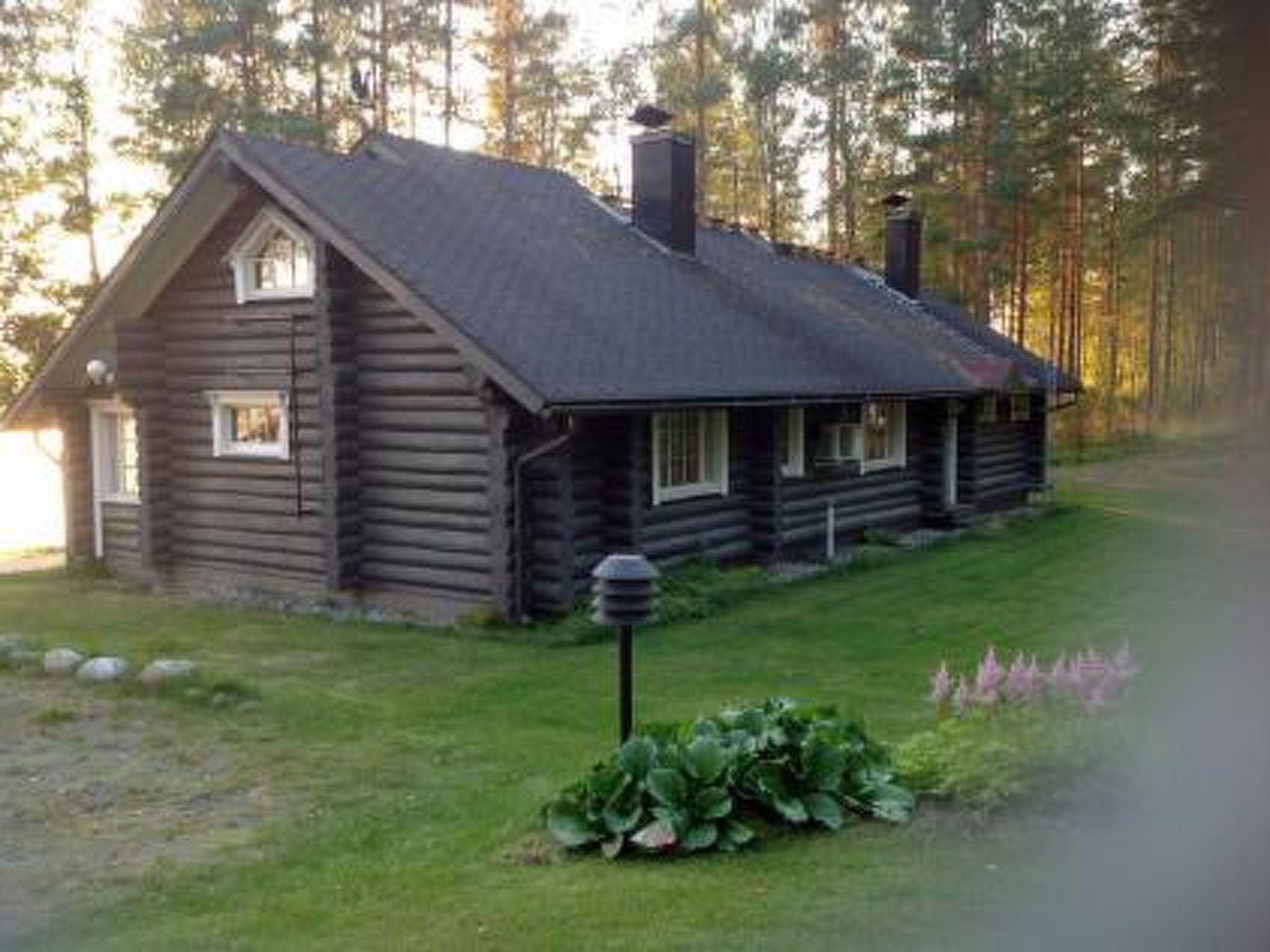 Foto 6 - Casa de 2 quartos em Hankasalmi com sauna