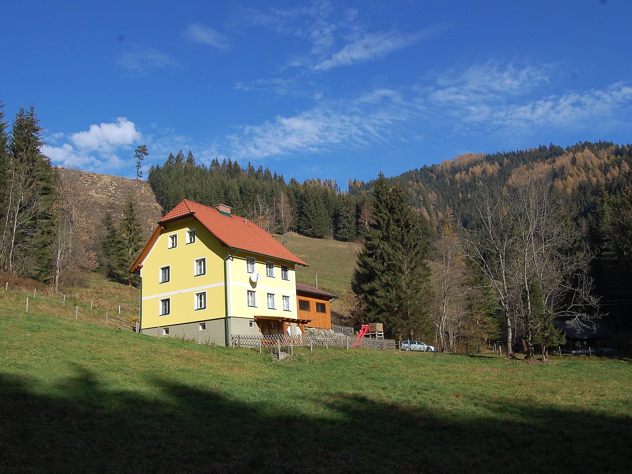 Photo 7 - Maison de 3 chambres à Pernegg an der Mur avec jardin et vues sur la montagne