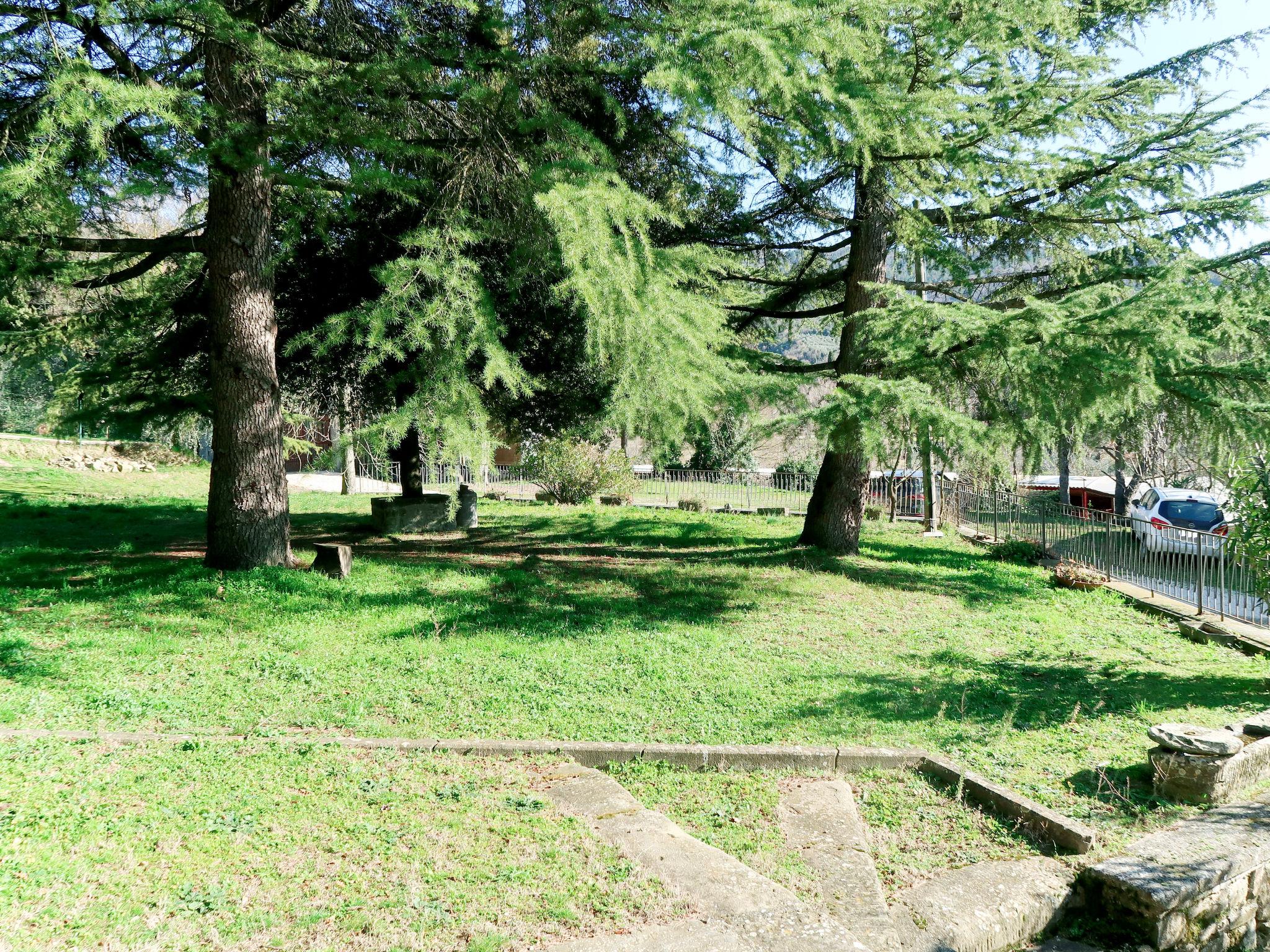 Foto 5 - Haus mit 1 Schlafzimmer in Arezzo mit schwimmbad und garten