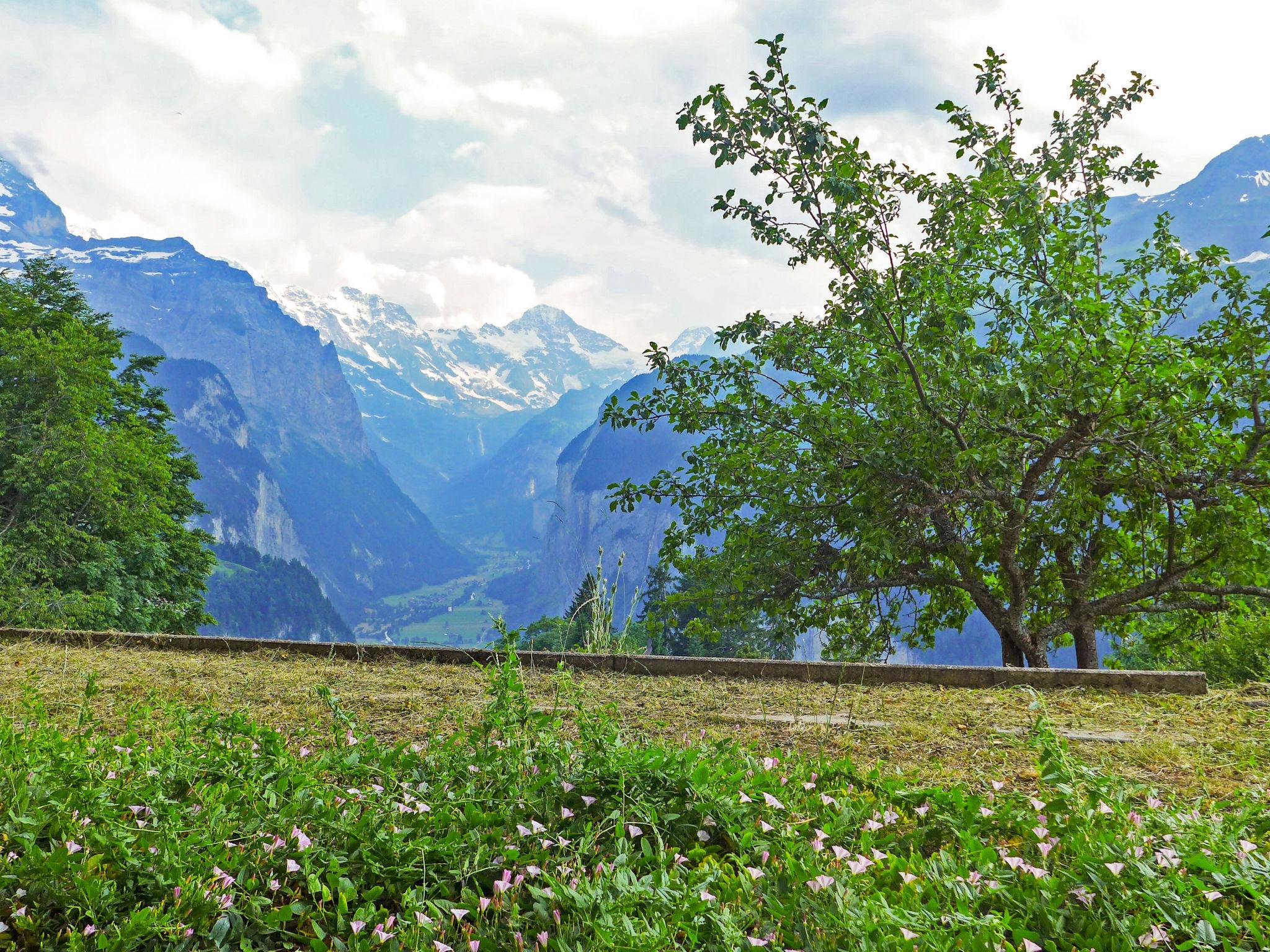 Photo 10 - Apartment in Lauterbrunnen with mountain view