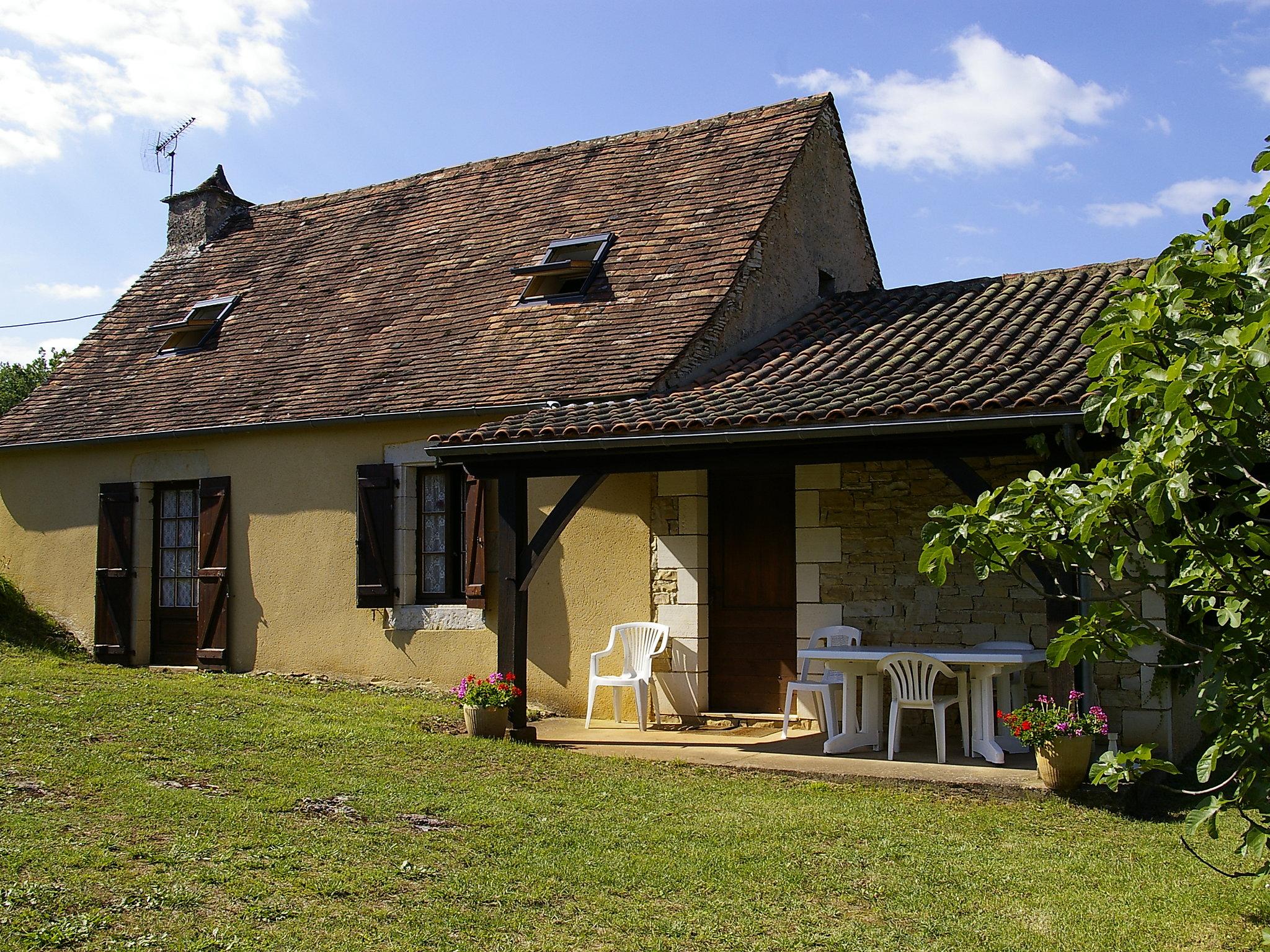 Foto 1 - Casa con 2 camere da letto a Salviac con piscina privata e giardino