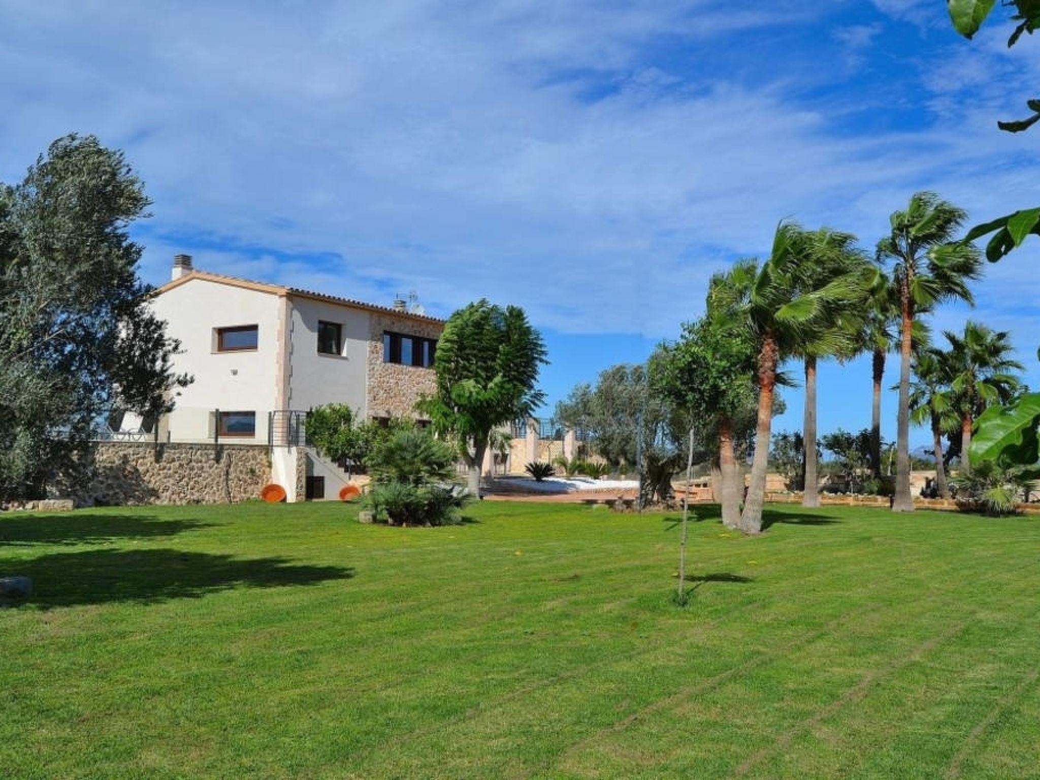 Photo 46 - 4 bedroom House in Muro with private pool and sea view