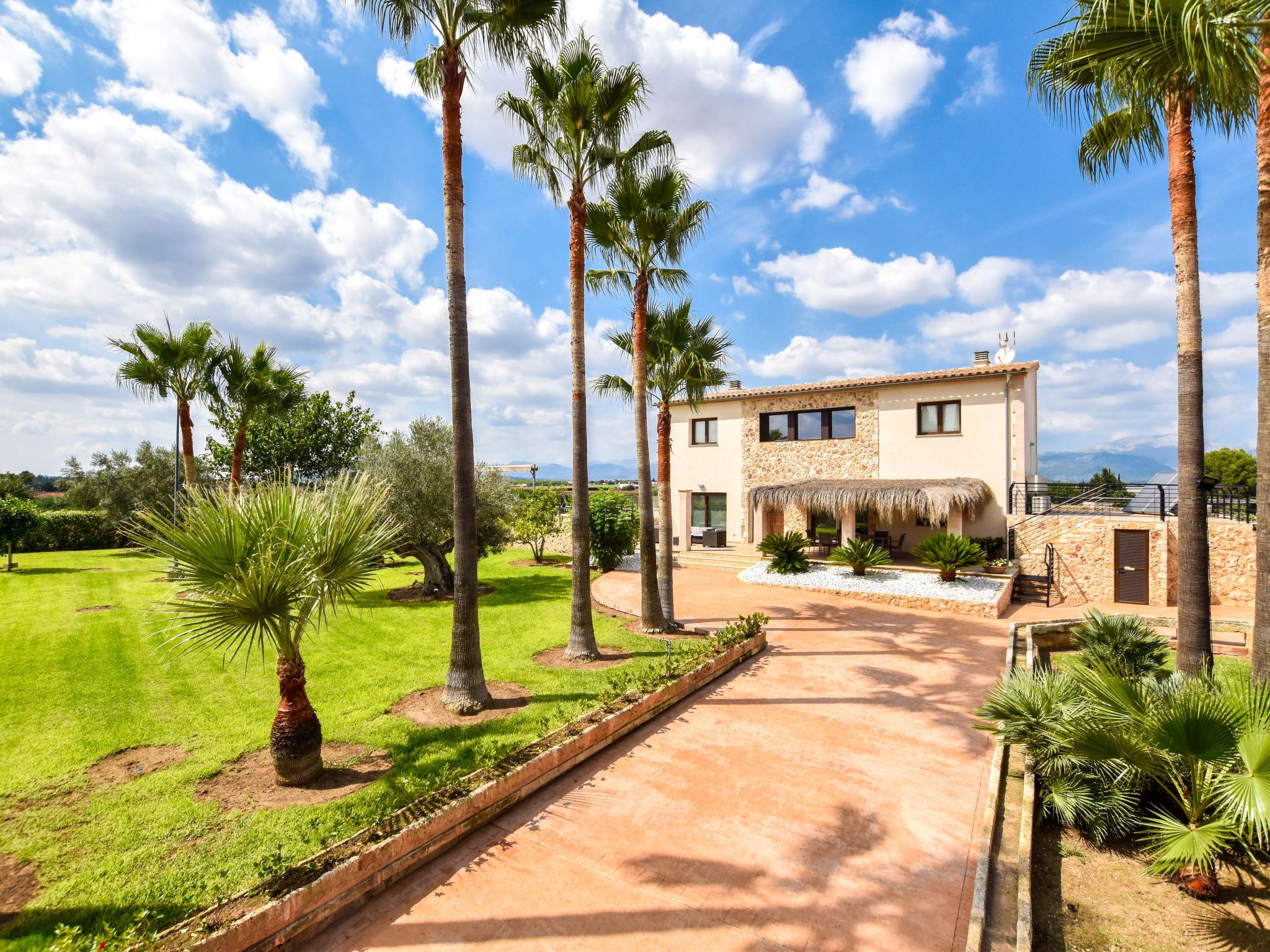 Photo 29 - Maison de 4 chambres à Muro avec piscine privée et jardin