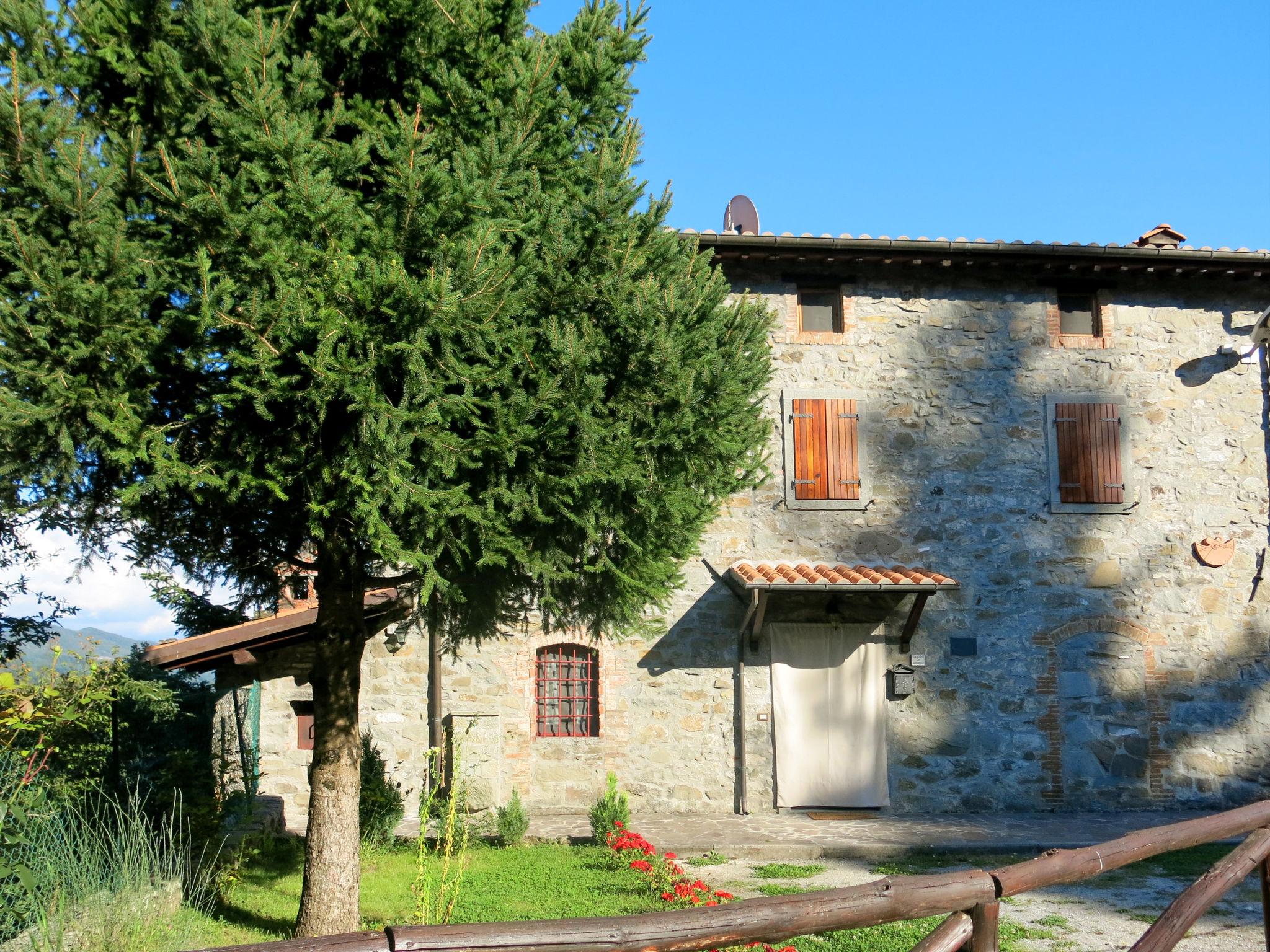 Foto 24 - Casa con 2 camere da letto a Piazza al Serchio con piscina privata e giardino