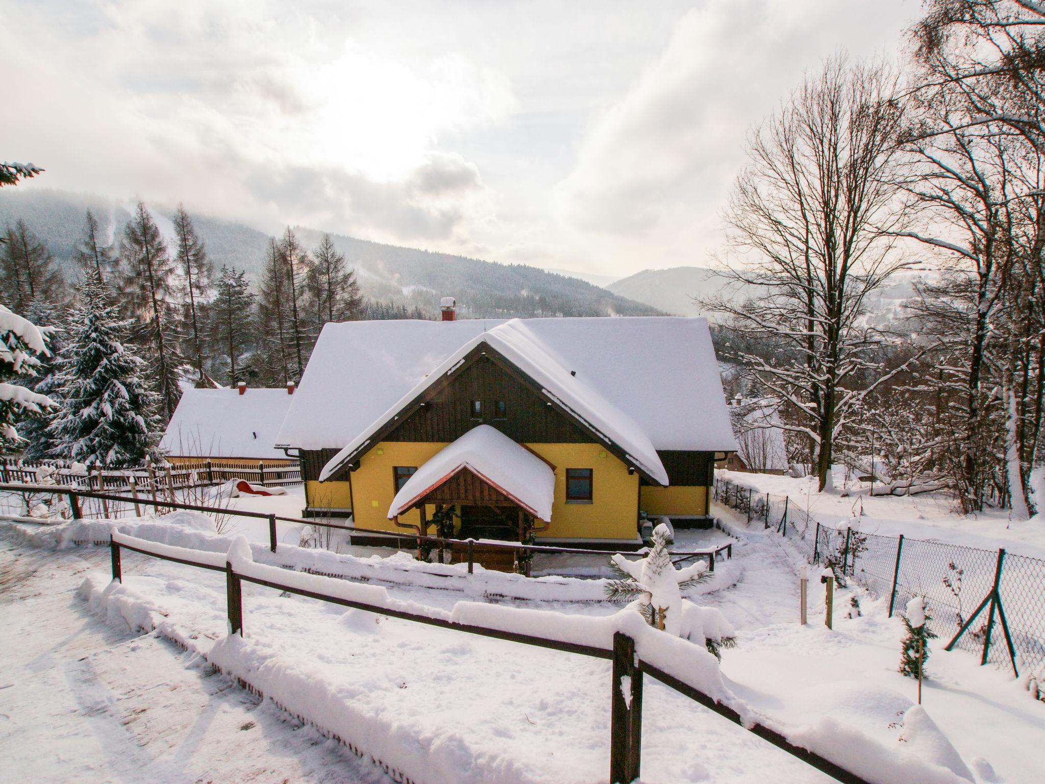 Photo 38 - Maison de 6 chambres à Albrechtice v Jizerských horách avec piscine privée et vues sur la montagne