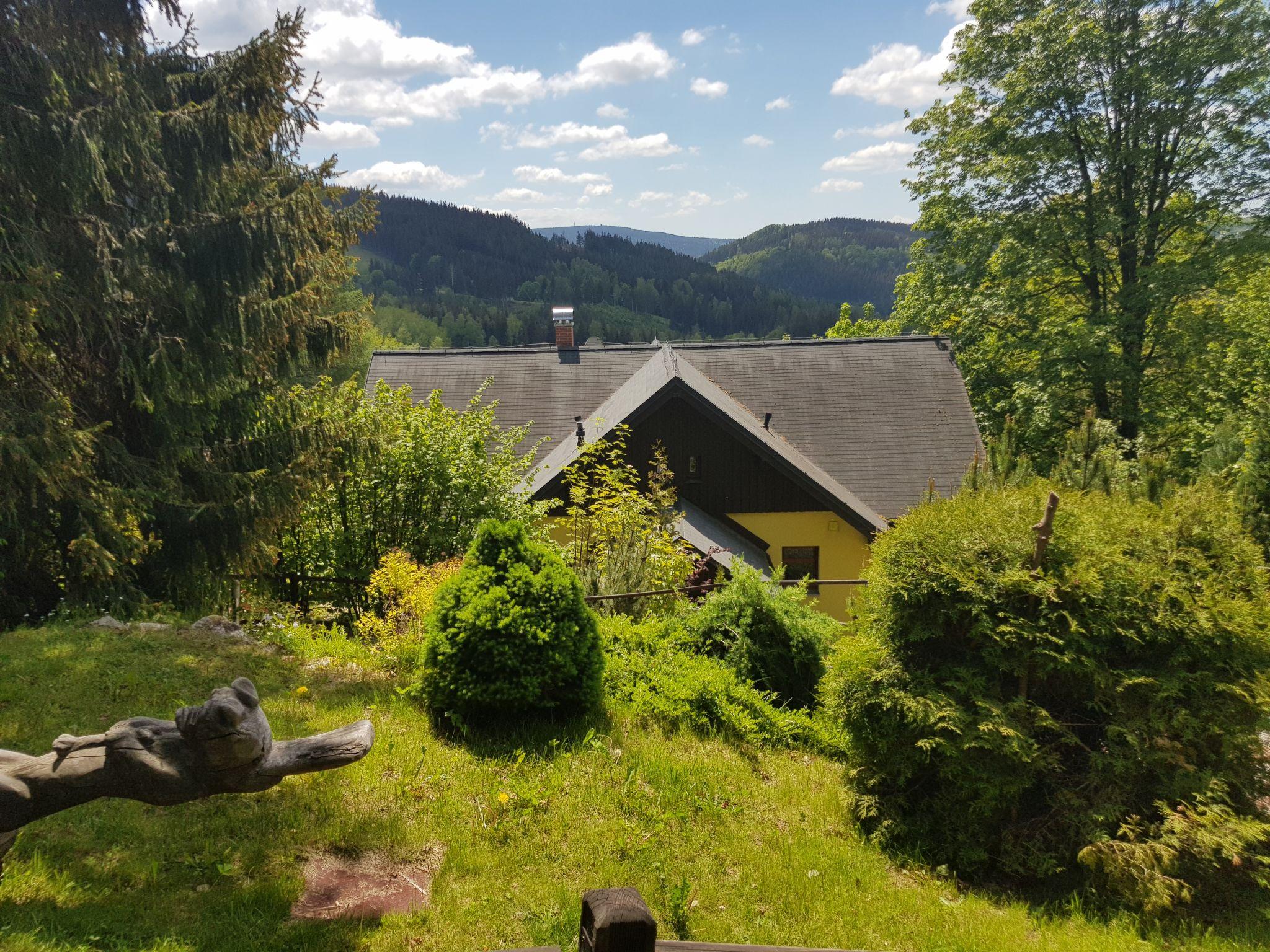 Photo 34 - Maison de 6 chambres à Albrechtice v Jizerských horách avec piscine privée et vues sur la montagne