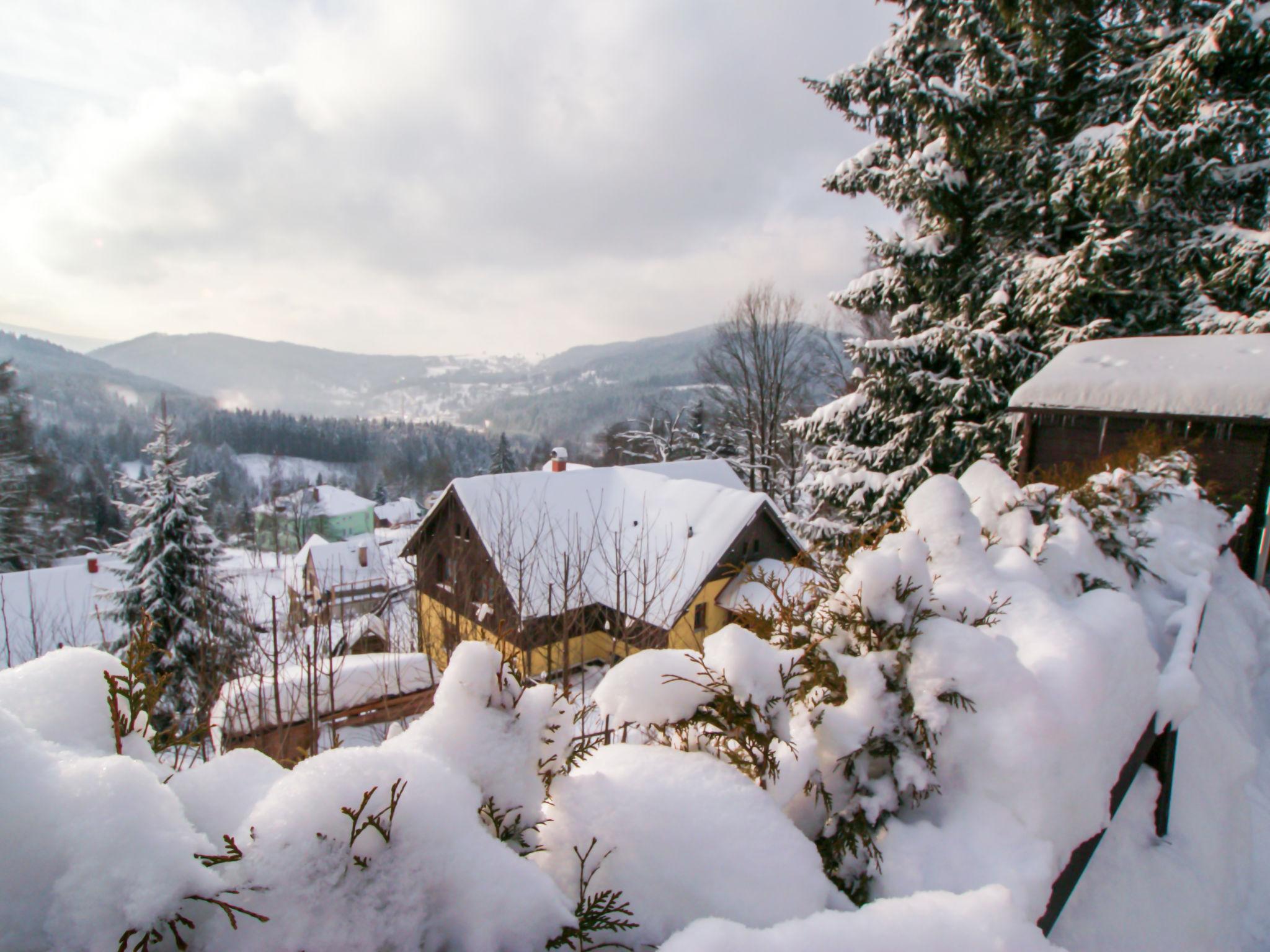 Photo 39 - Maison de 6 chambres à Albrechtice v Jizerských horách avec piscine privée et vues sur la montagne