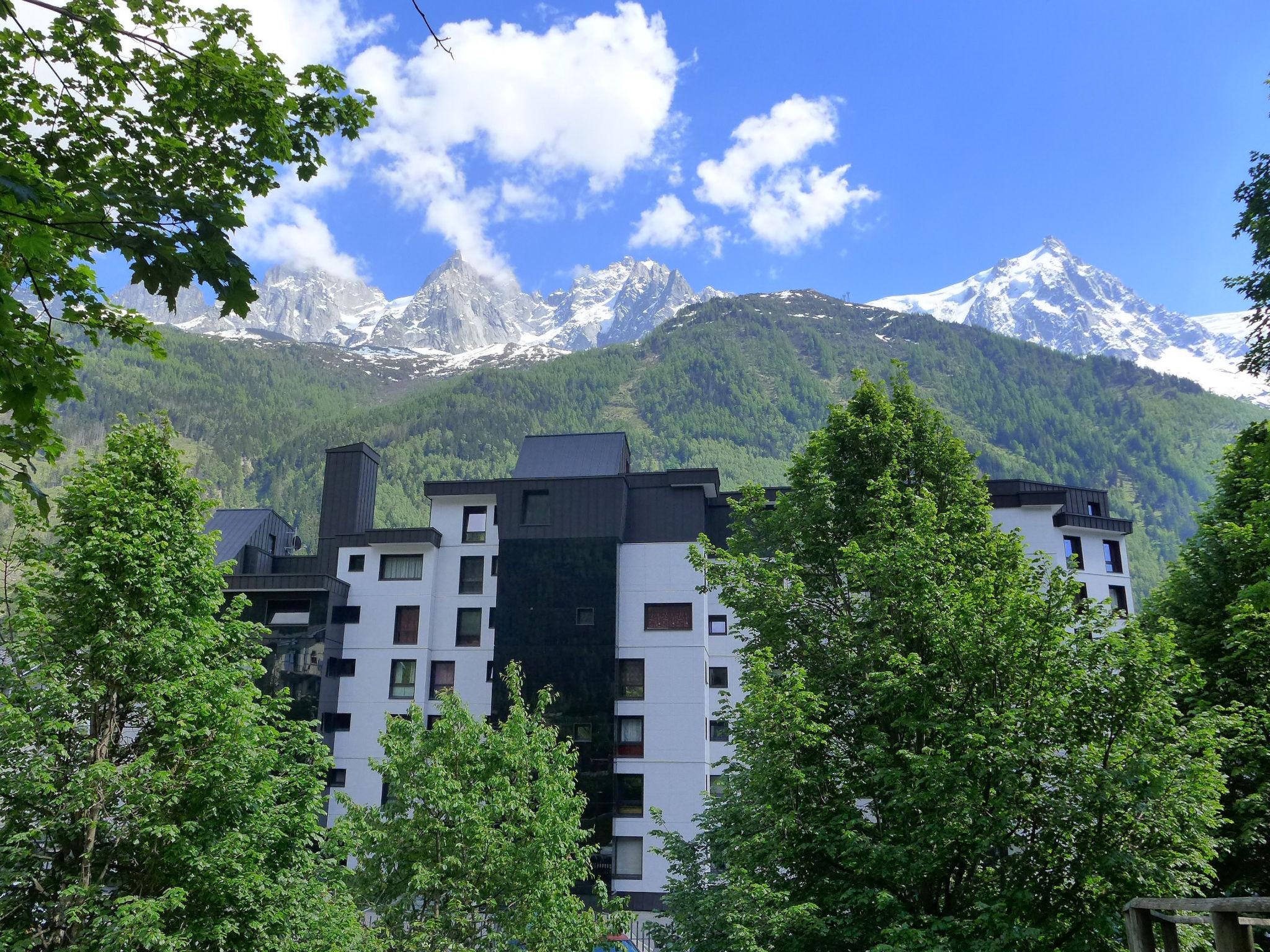 Foto 9 - Apartment mit 1 Schlafzimmer in Chamonix-Mont-Blanc mit blick auf die berge