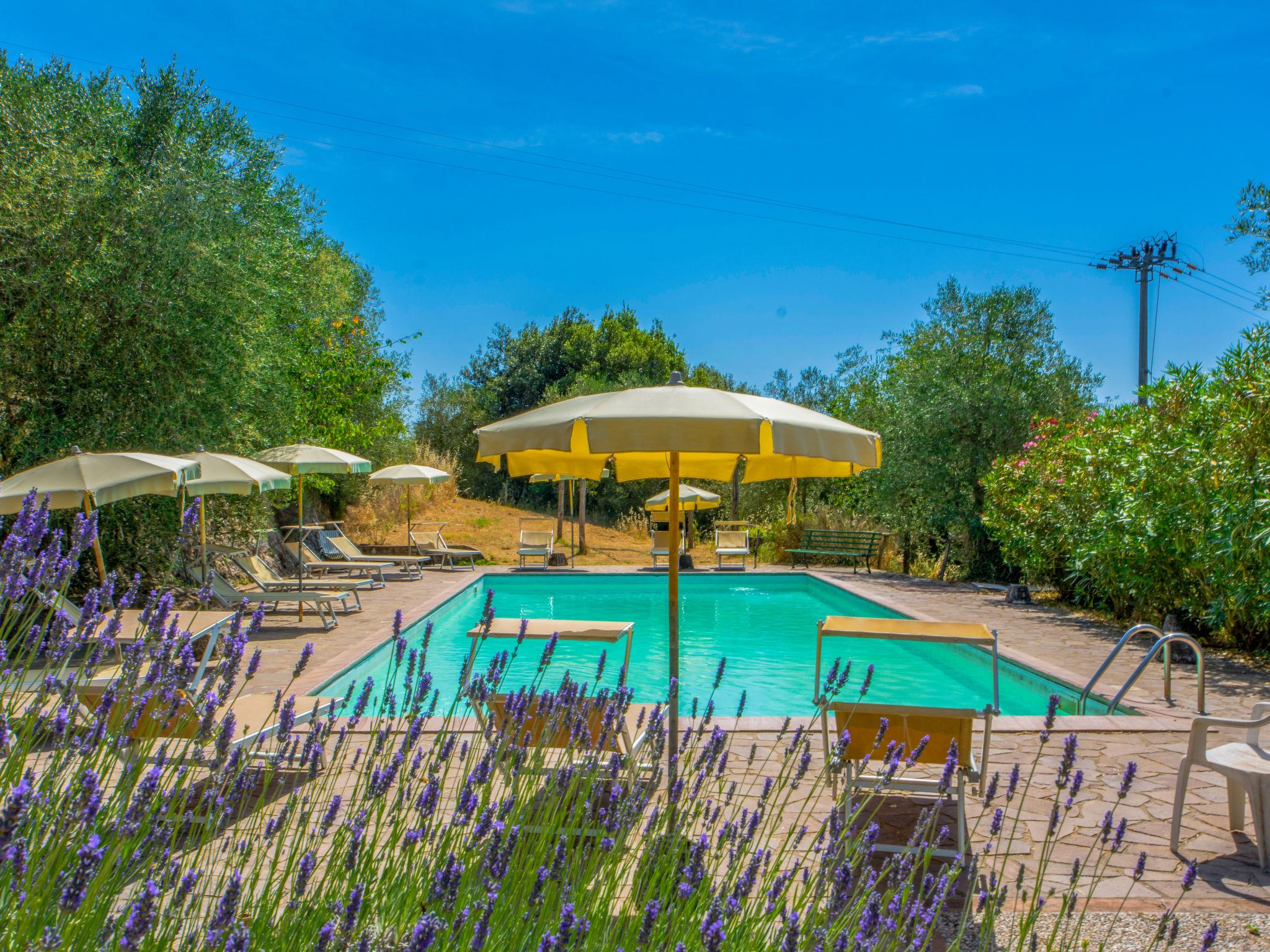 Photo 5 - Appartement de 3 chambres à Sovicille avec piscine et jardin