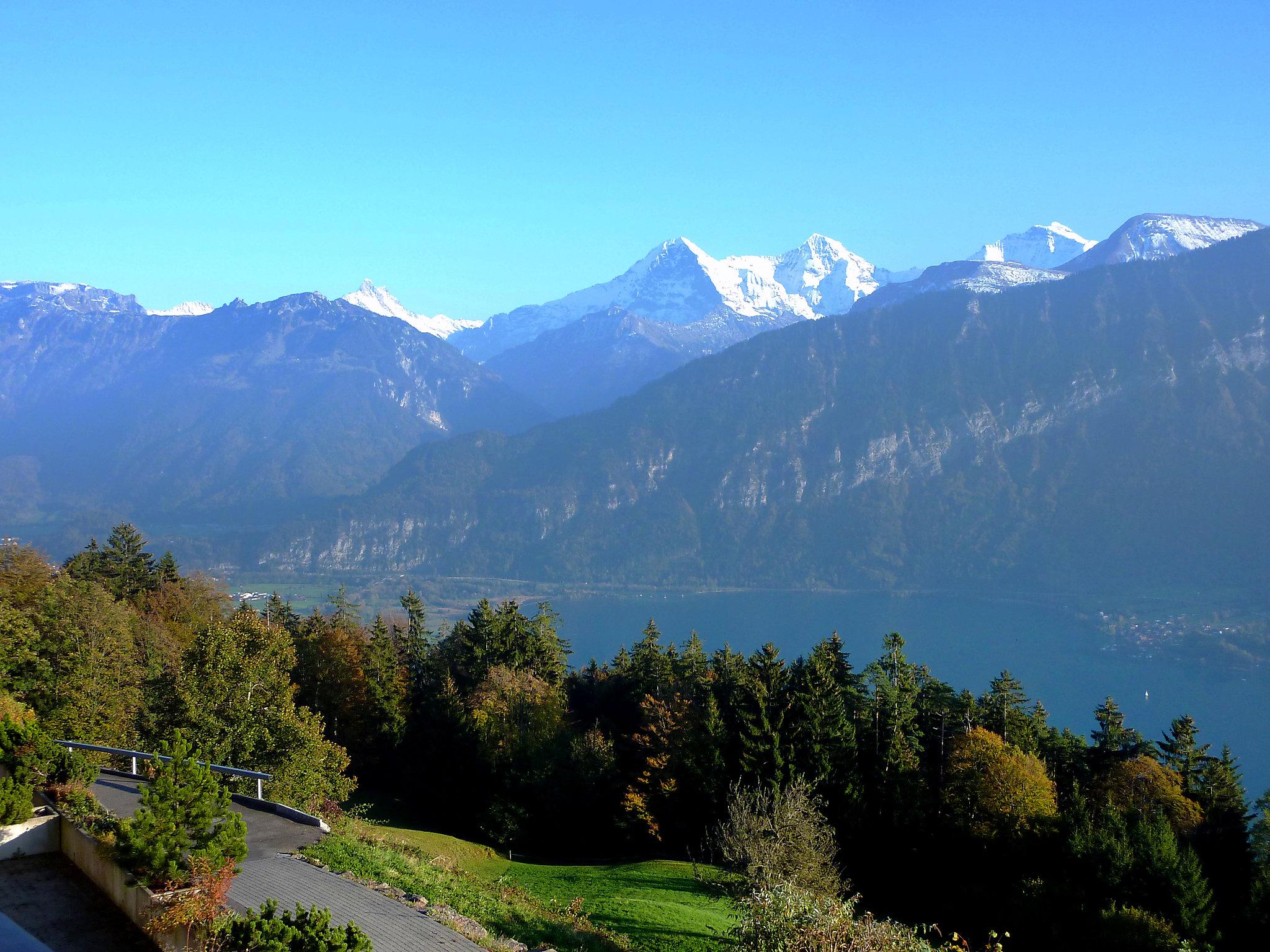 Foto 5 - Appartamento con 1 camera da letto a Beatenberg con vista sulle montagne