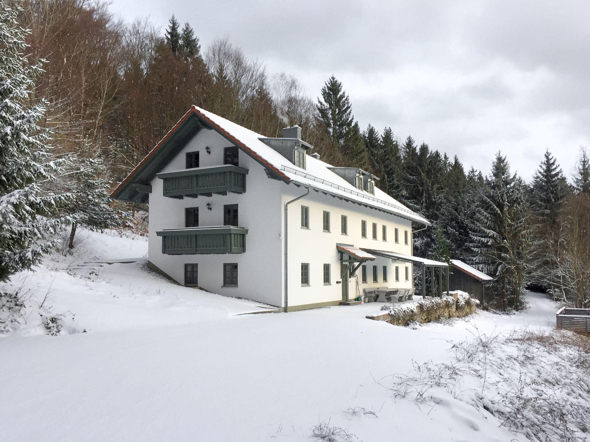 Foto 39 - Casa con 8 camere da letto a Viechtach con piscina privata e vista sulle montagne