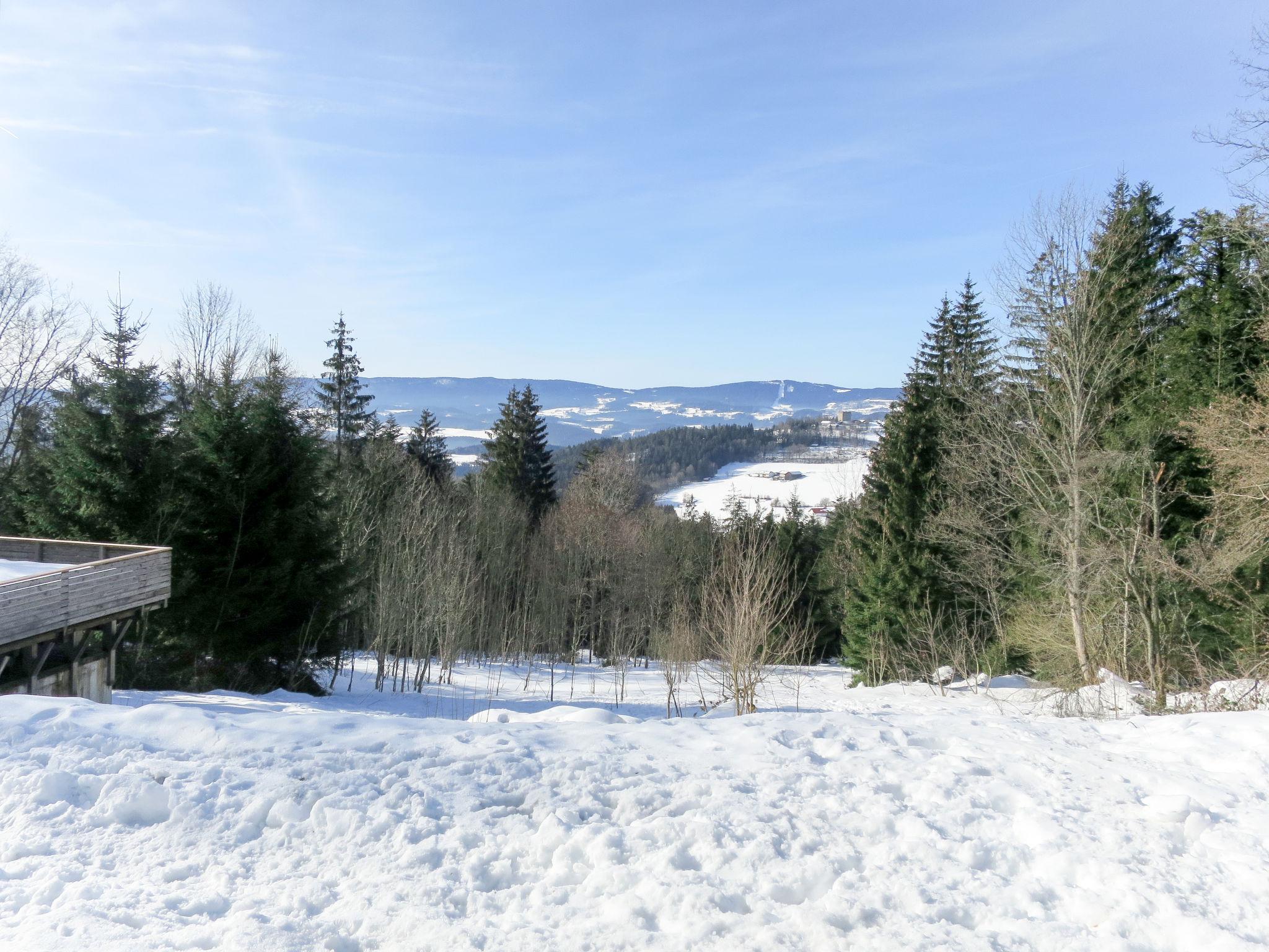 Foto 38 - Casa de 8 quartos em Viechtach com piscina privada e vista para a montanha