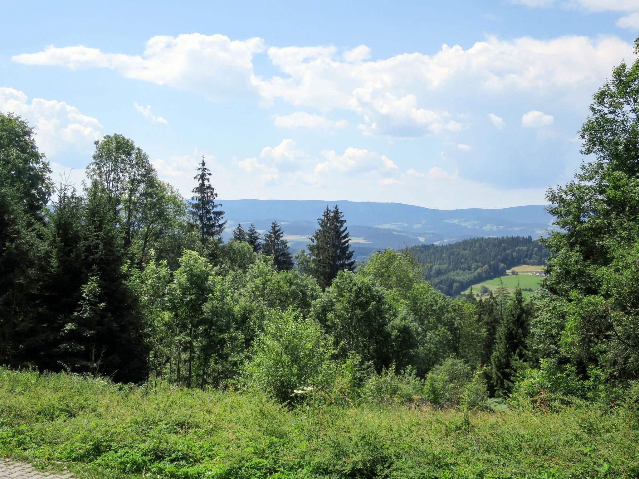 Foto 7 - Haus mit 8 Schlafzimmern in Viechtach mit privater pool und blick auf die berge