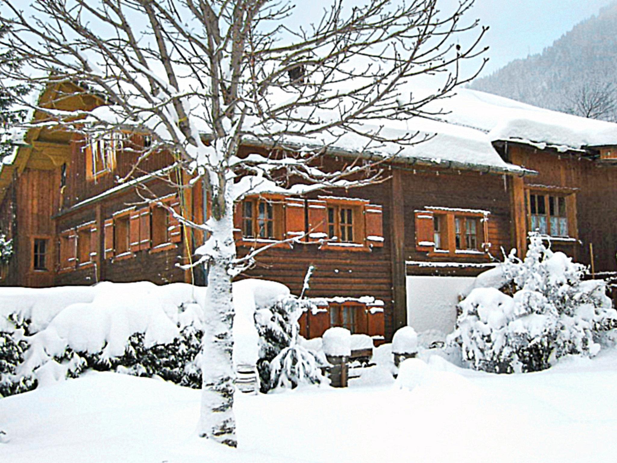 Photo 26 - Appartement de 2 chambres à Sankt Gallenkirch avec jardin