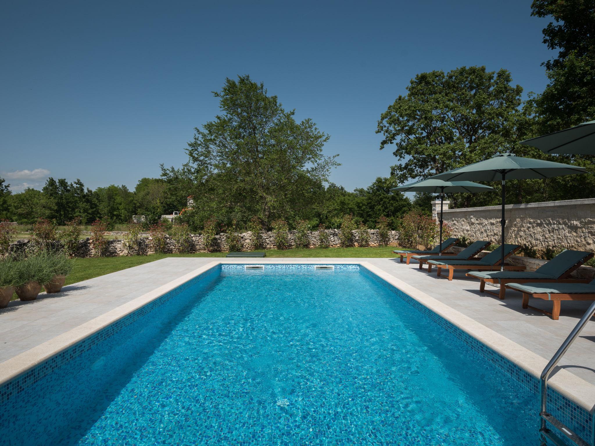 Photo 6 - Maison de 3 chambres à Žminj avec piscine privée et vues à la mer