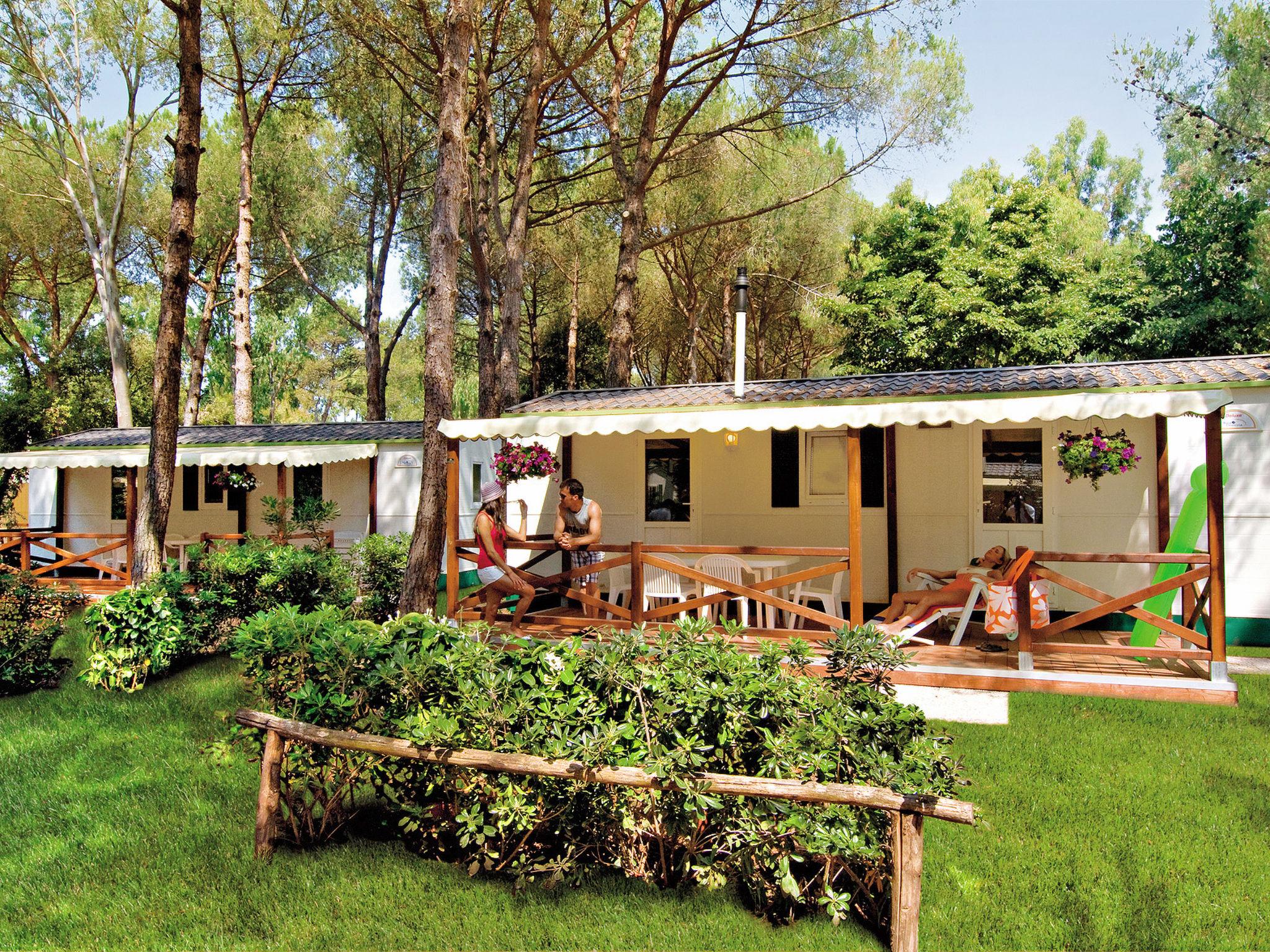 Foto 4 - Casa de 2 habitaciones en Sessa Aurunca con piscina y jardín