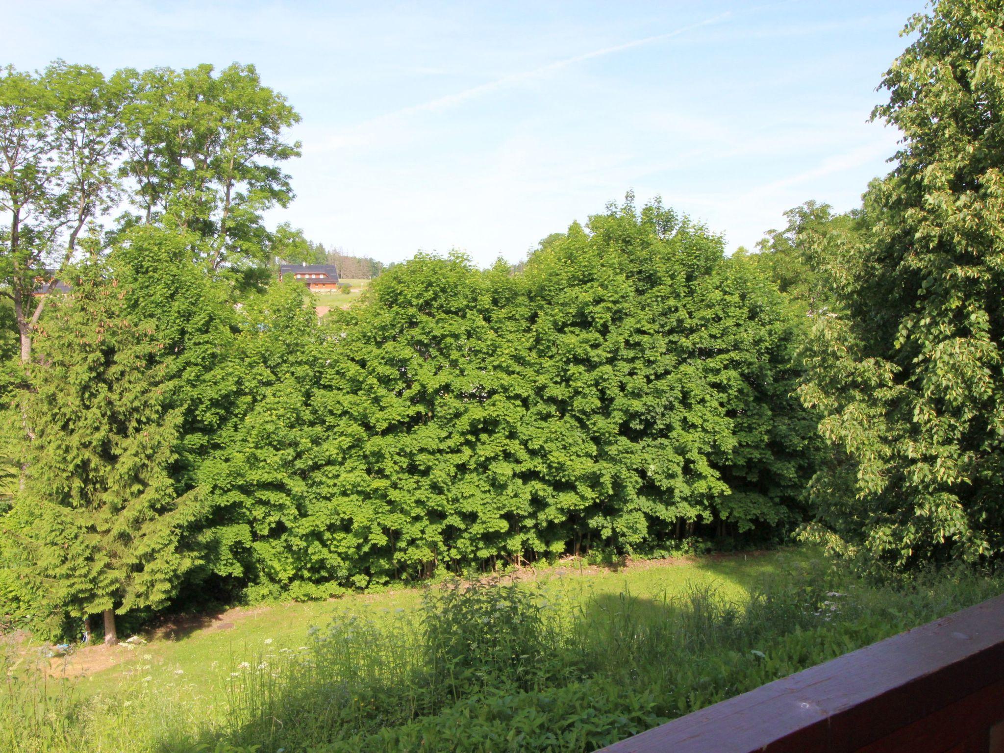 Foto 26 - Casa con 3 camere da letto a Černý Důl con piscina e vista sulle montagne