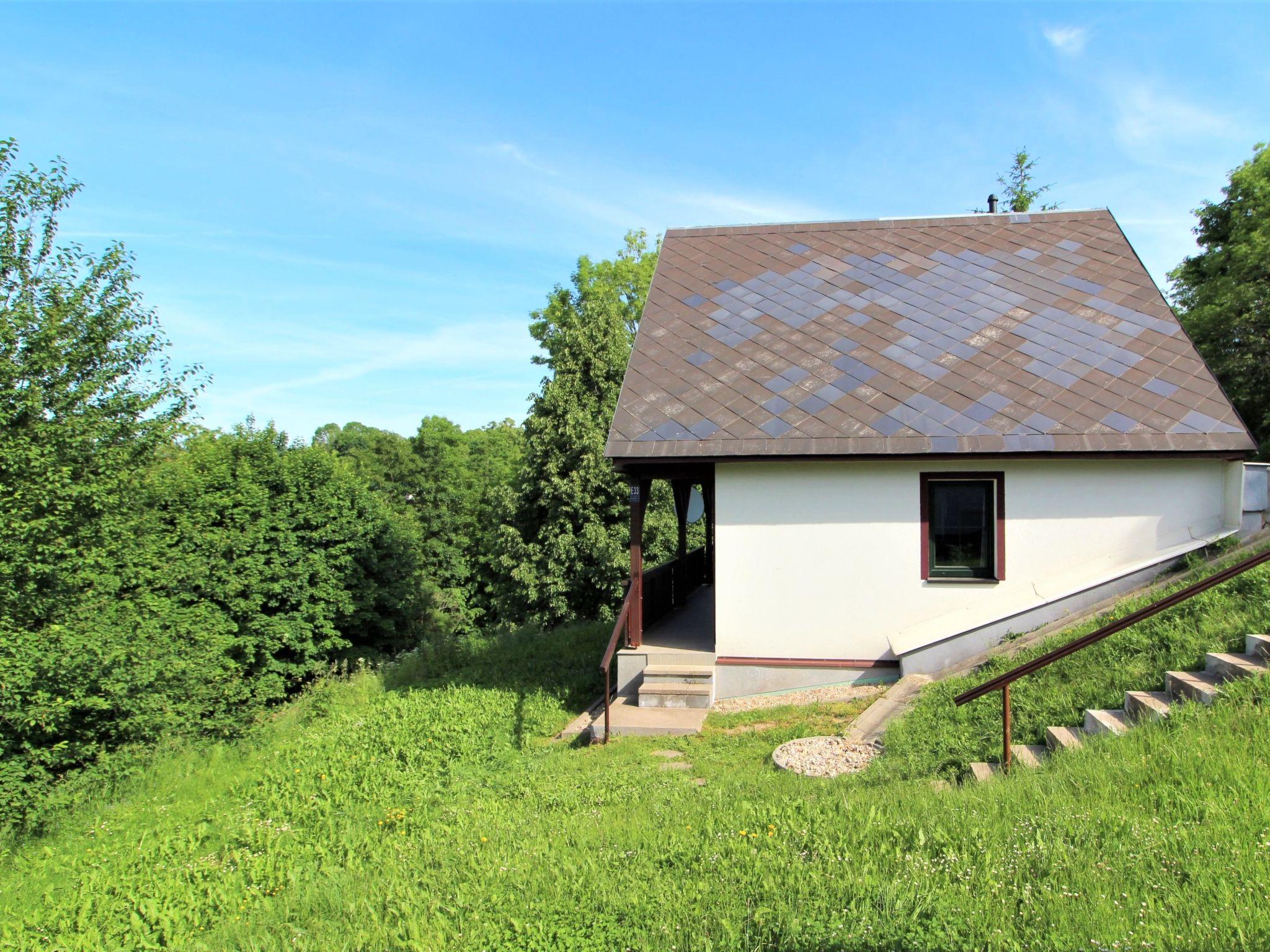 Foto 21 - Haus mit 3 Schlafzimmern in Černý Důl mit schwimmbad und blick auf die berge