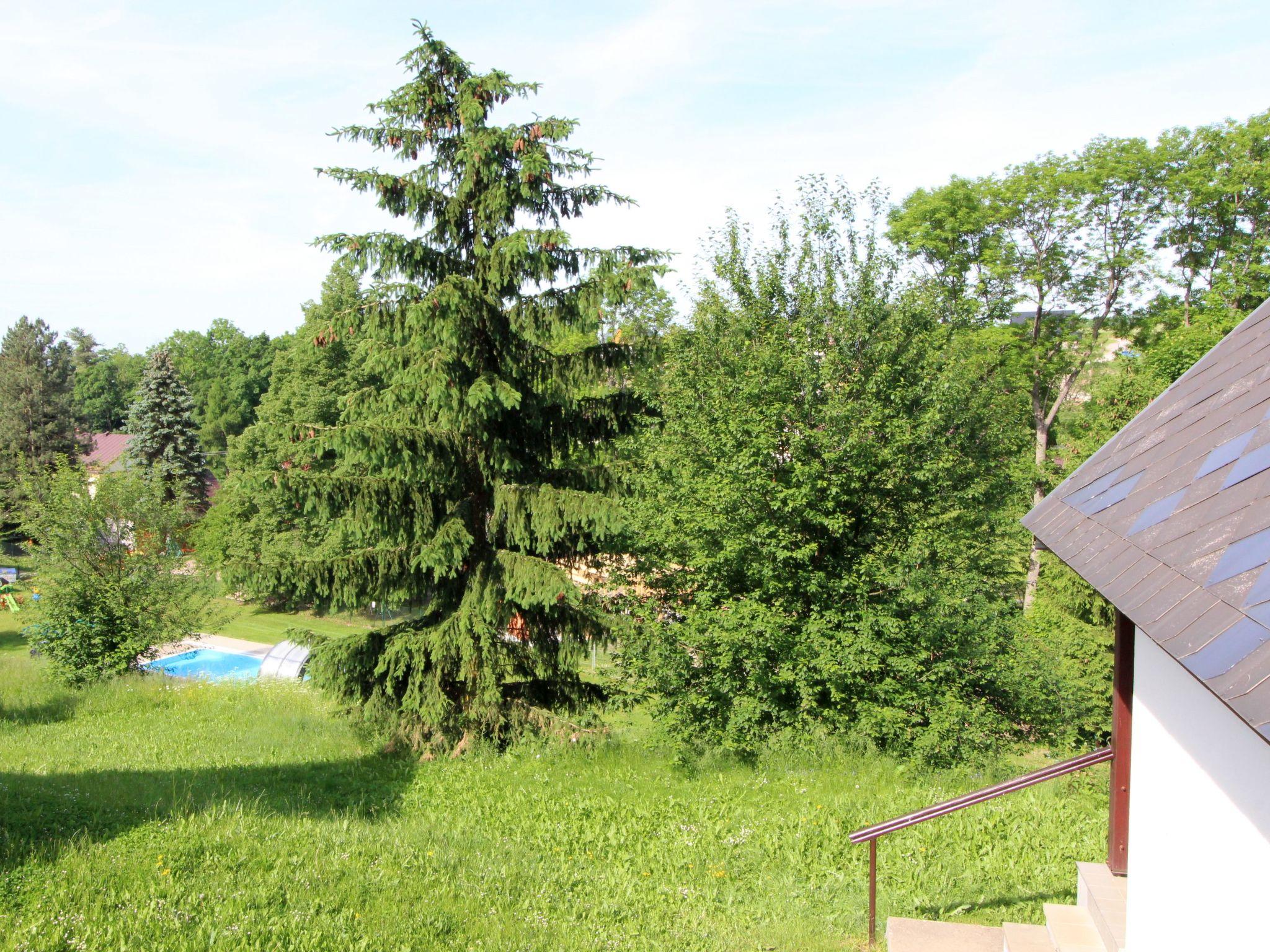 Photo 20 - Maison de 3 chambres à Černý Důl avec piscine et jardin