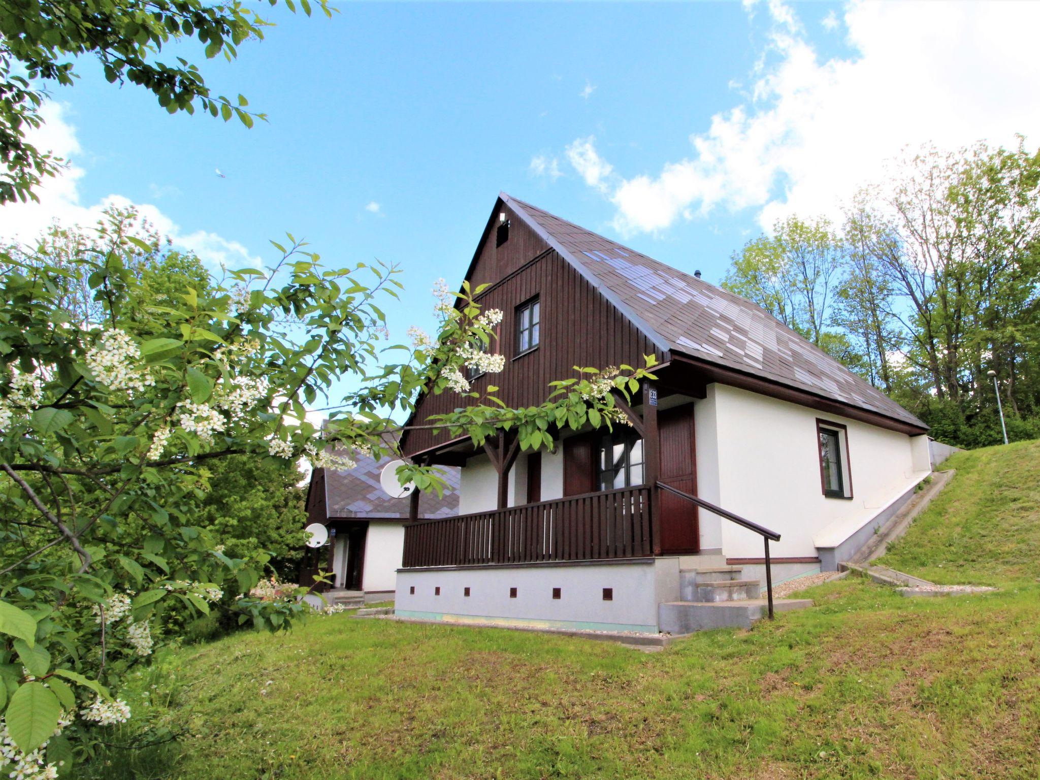 Foto 19 - Casa con 3 camere da letto a Černý Důl con piscina e giardino