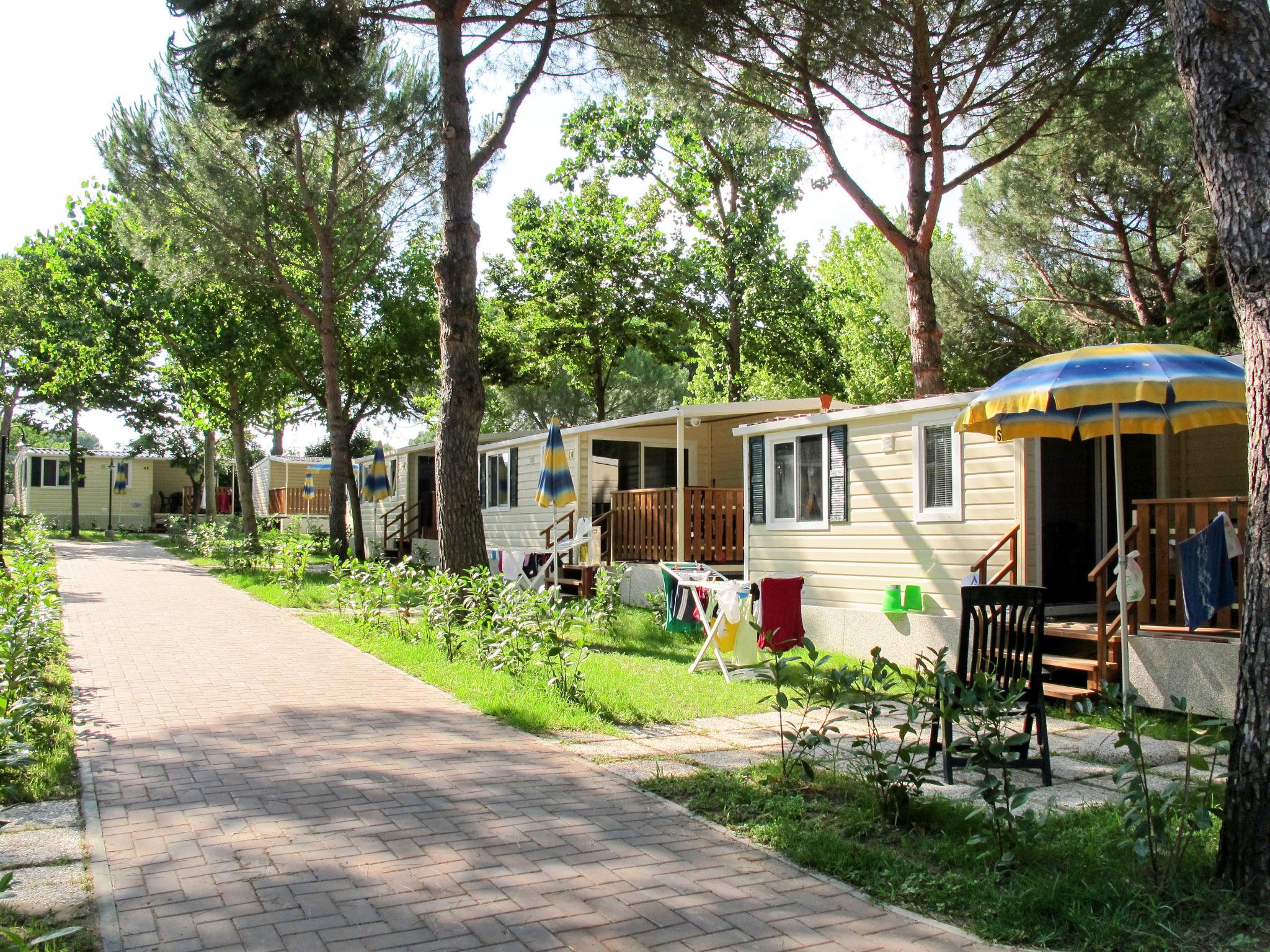 Foto 1 - Casa con 2 camere da letto a Castiglione del Lago con piscina e terrazza